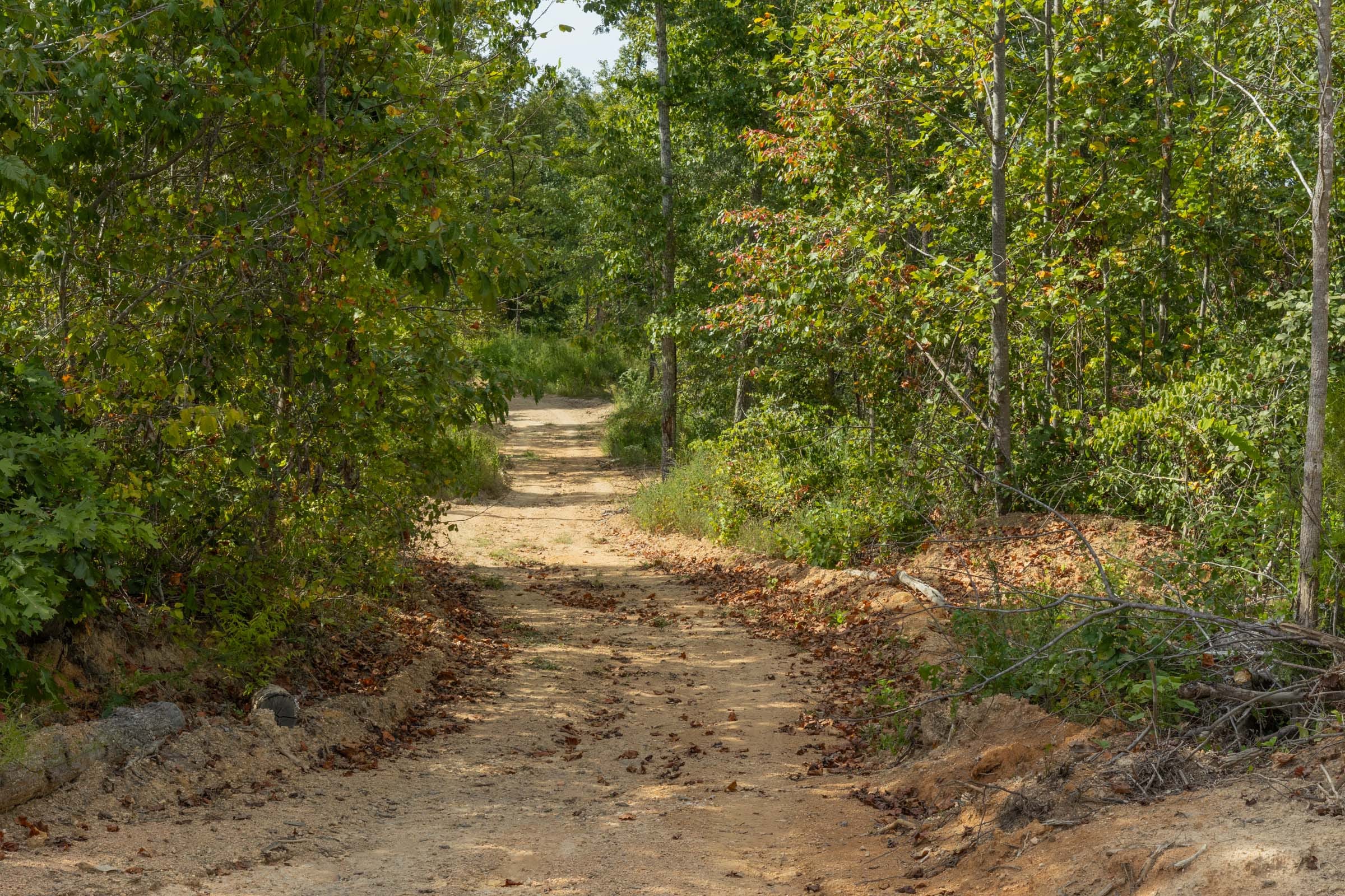 Big White Oak Tract 70 photo 1
