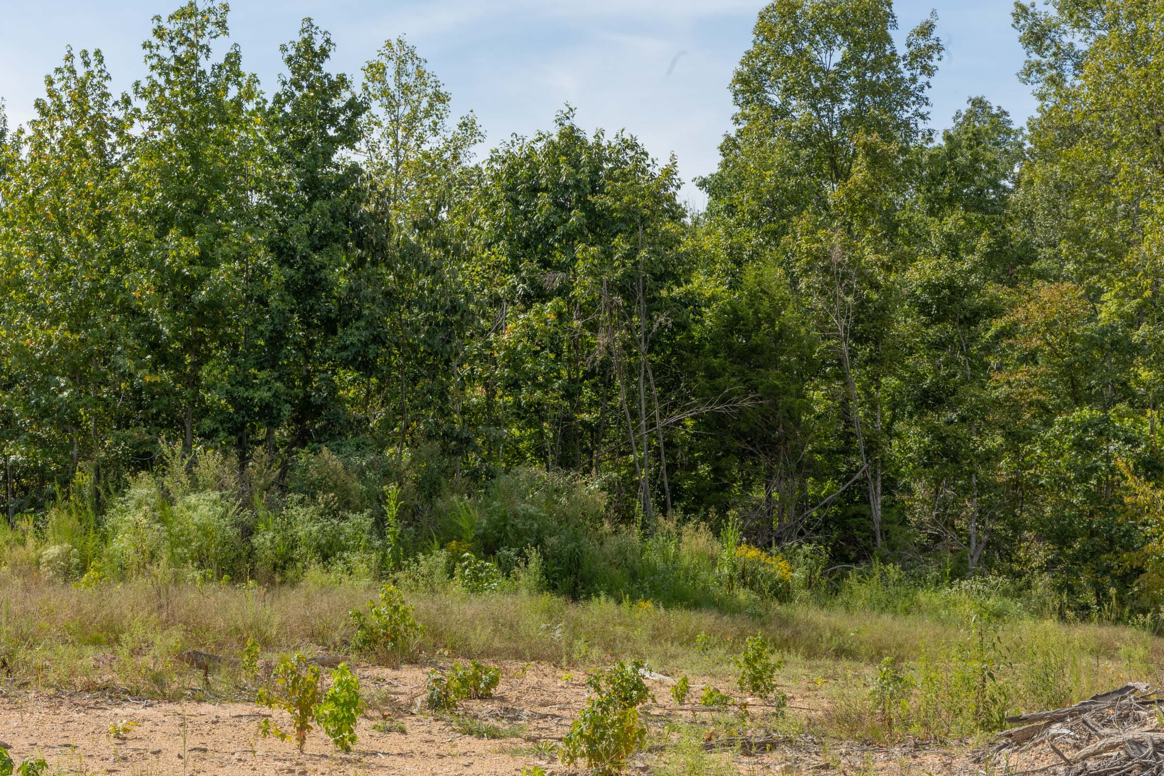 Big White Oak Tract 70 photo 6