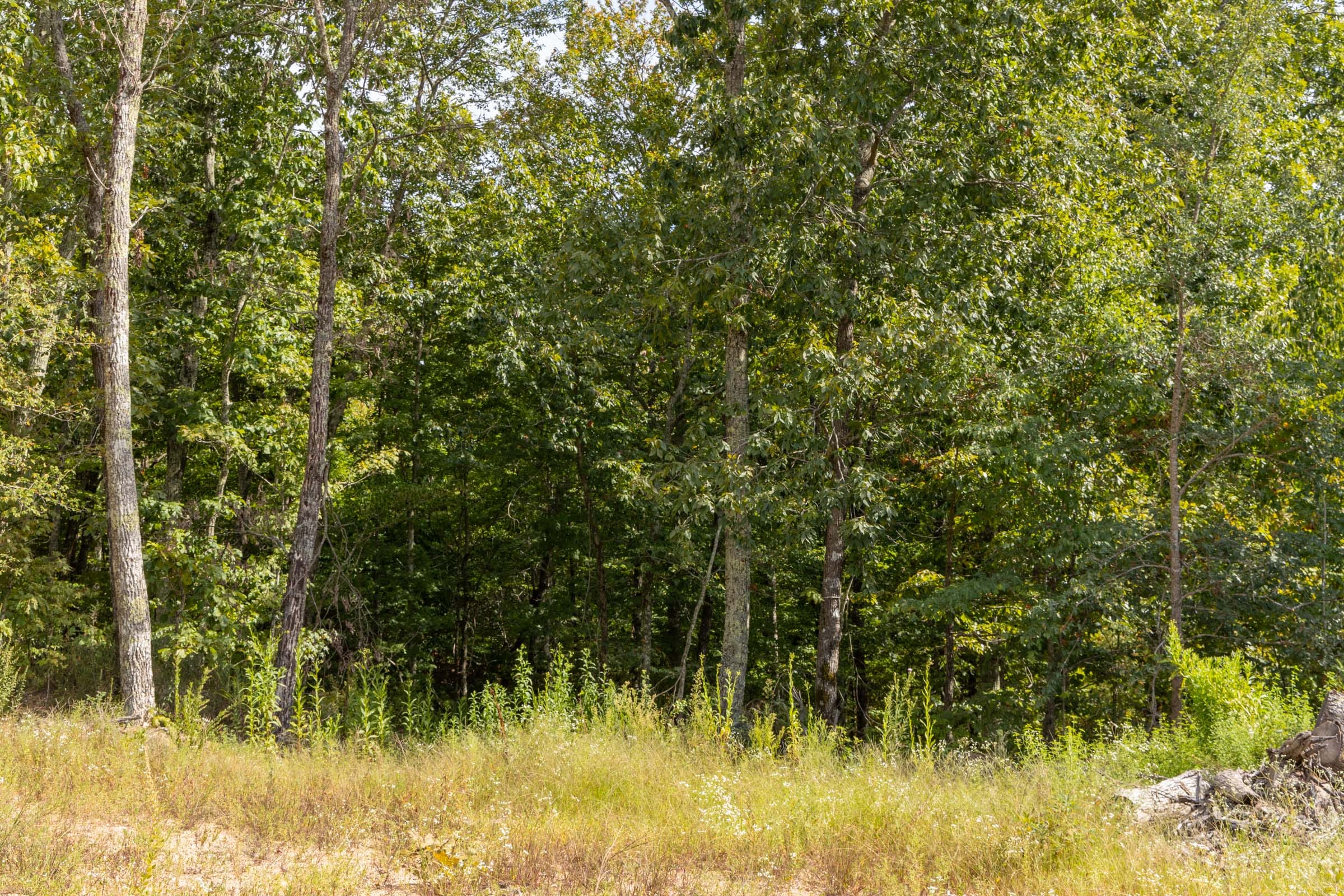Big White Oak Tract 70 photo 4