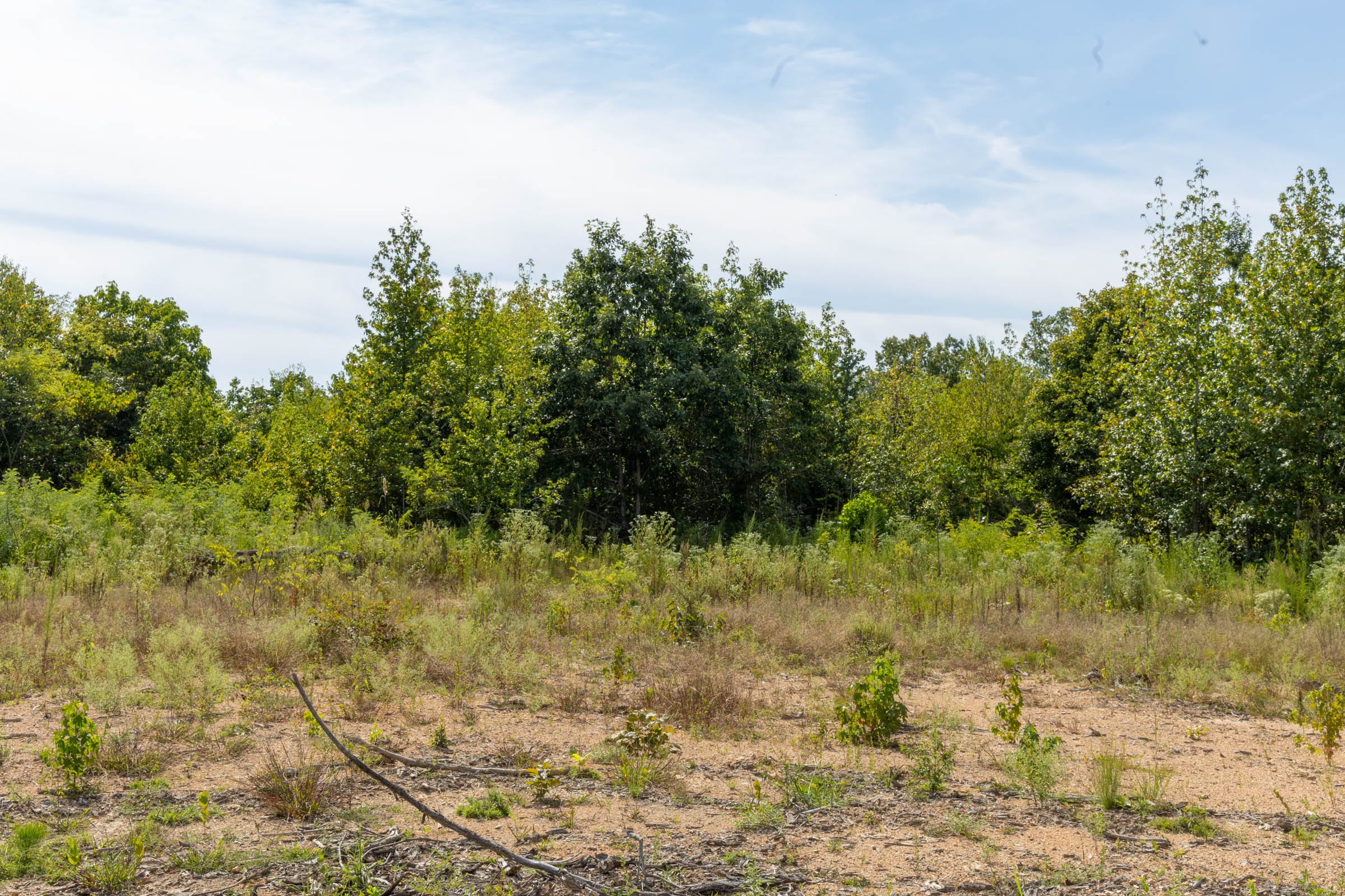 Big White Oak Tract 70 photo 3