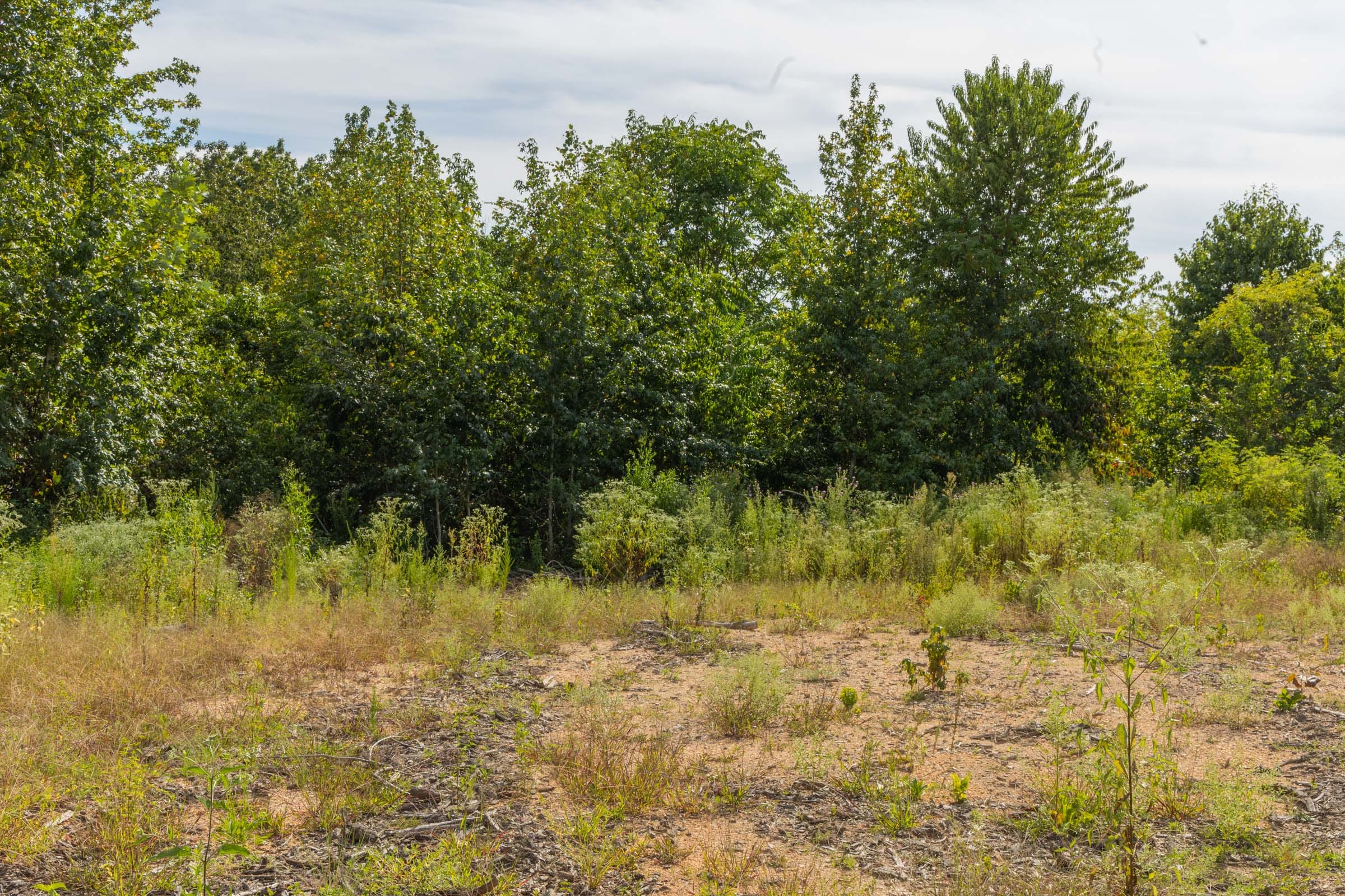 Big White Oak Tract 70 photo 2