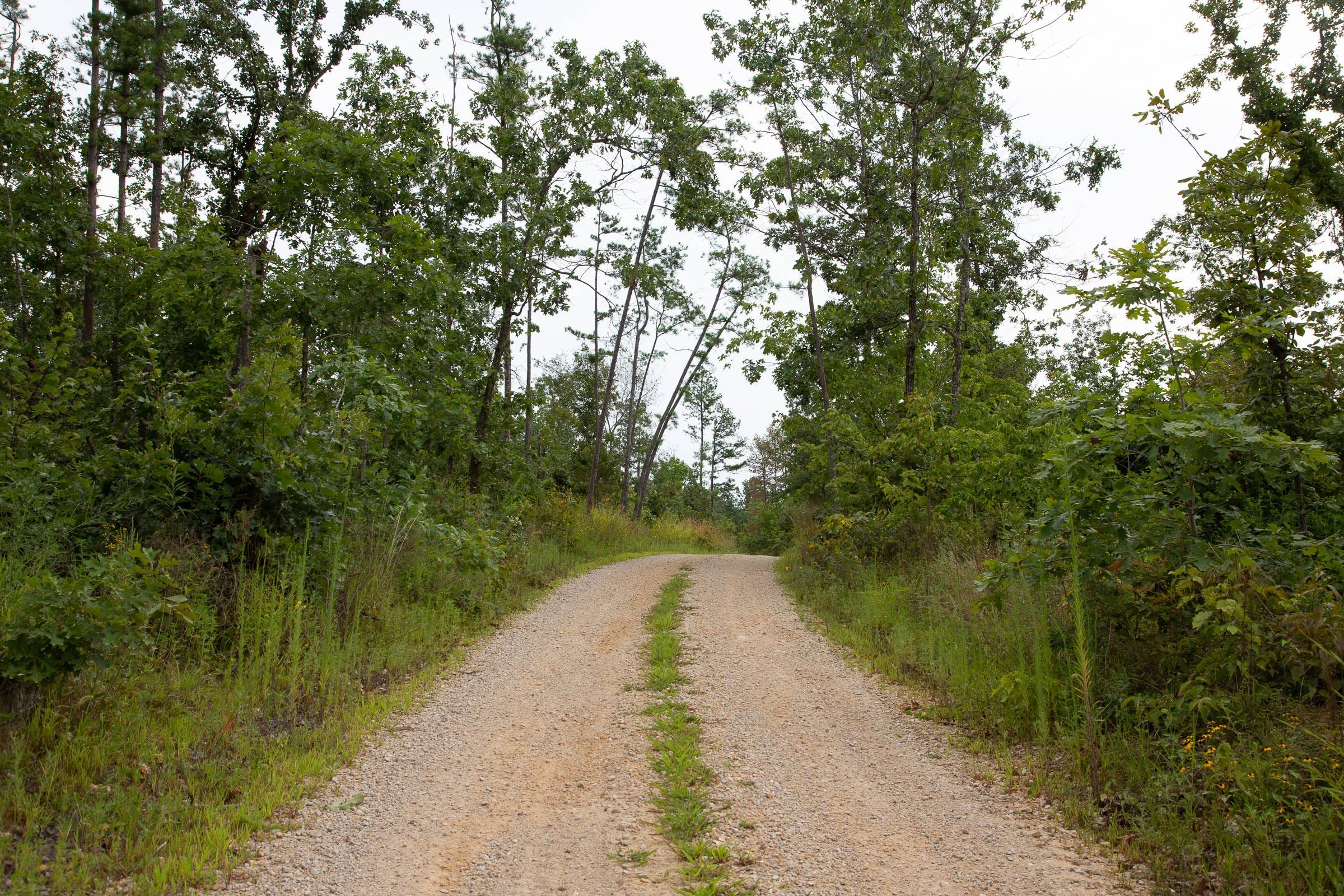 Borgmann’s Hollow Phase I Tract 30 photo 1