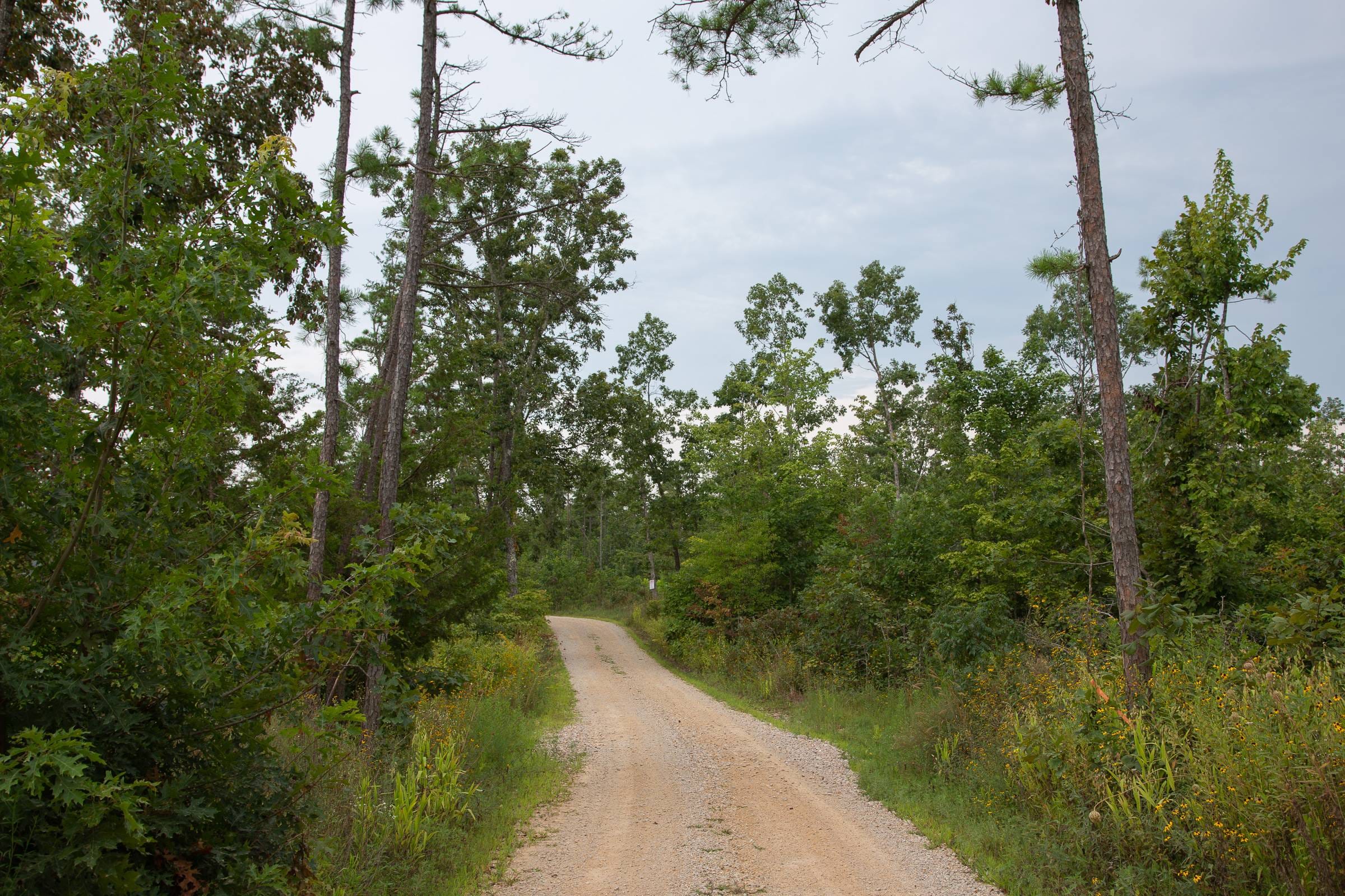 Borgmann’s Hollow Phase I Tract 30 photo 4