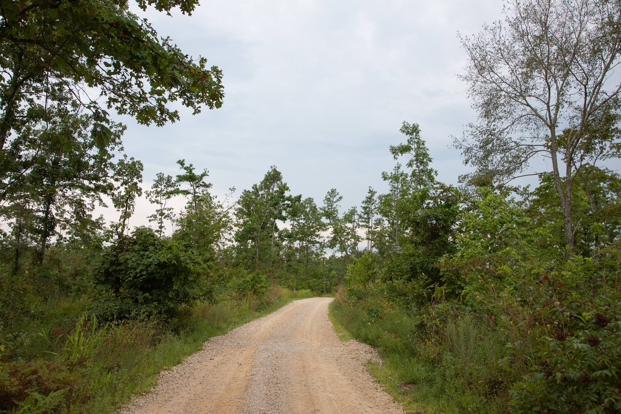 Borgmann’s Hollow Phase I Tract 30 photo 12