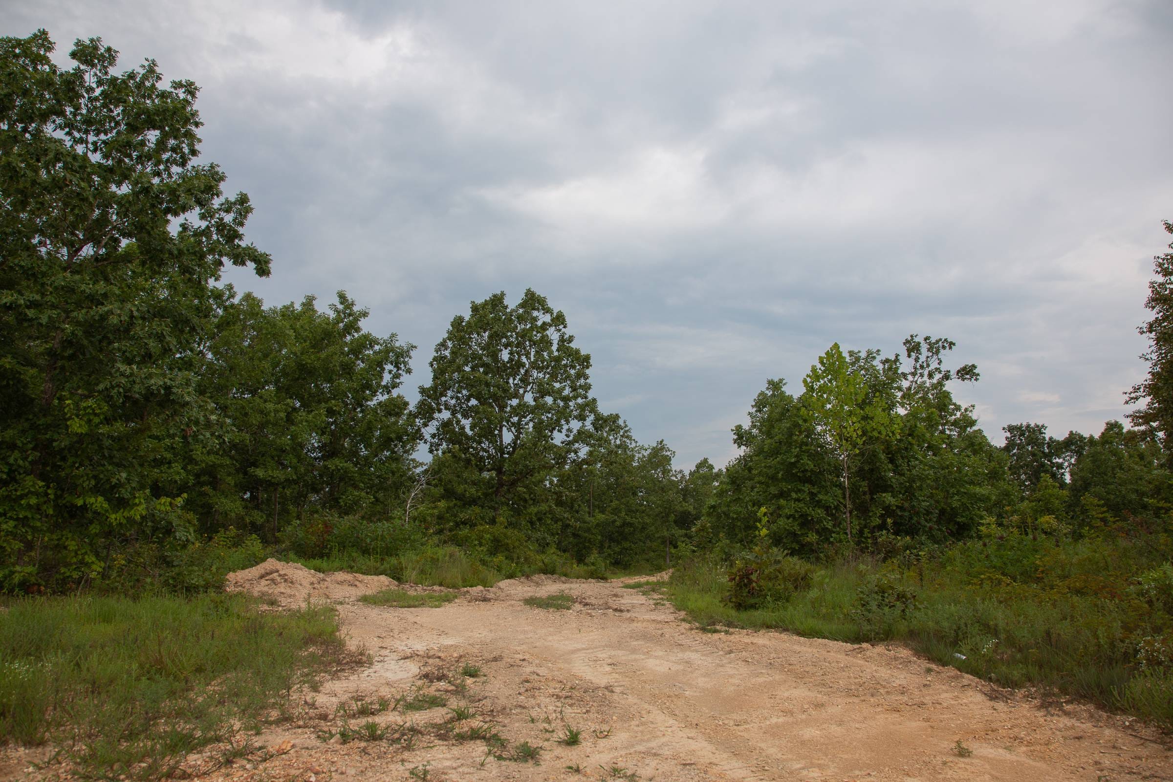 Borgmann’s Hollow Phase I Tract 30 photo 15