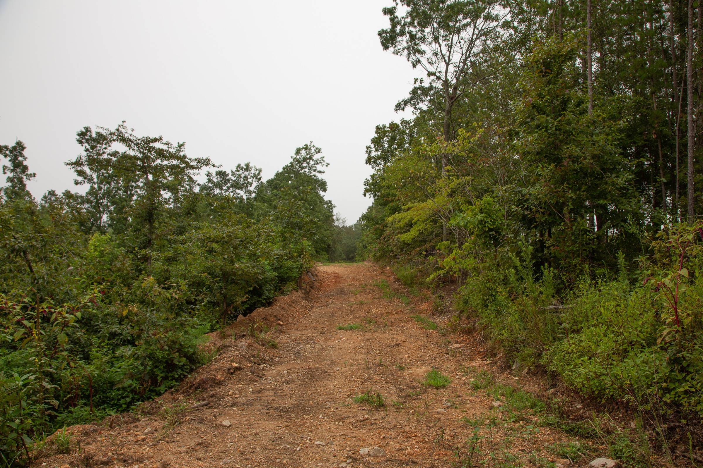 Borgmann’s Hollow Phase II Tract 41 photo 1