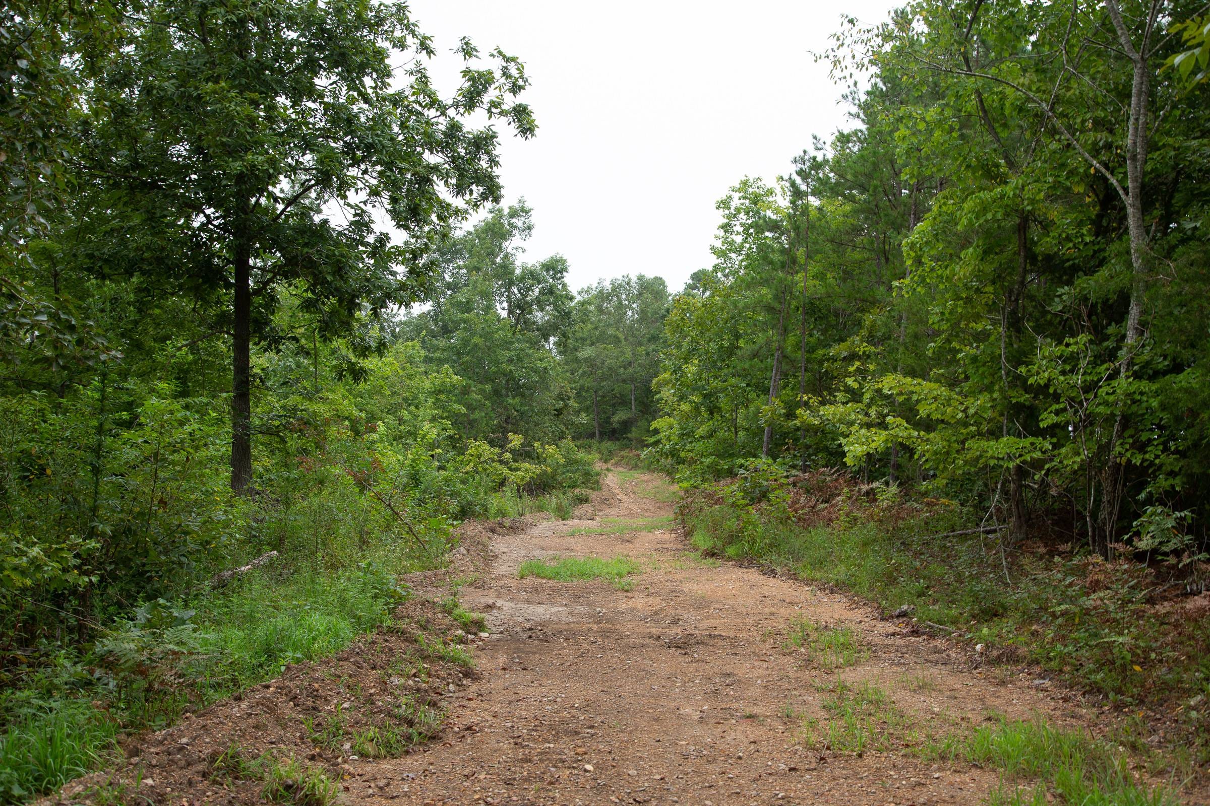 Borgmann’s Hollow Phase II Tract 41 photo 6