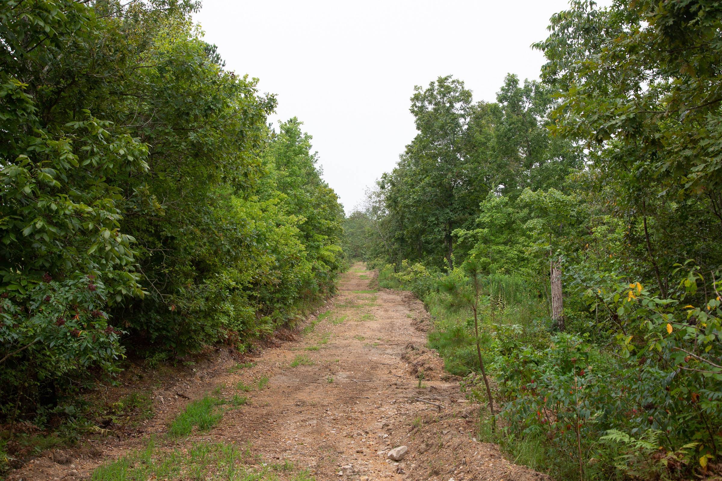 Borgmann’s Hollow Phase II Tract 41 photo 11