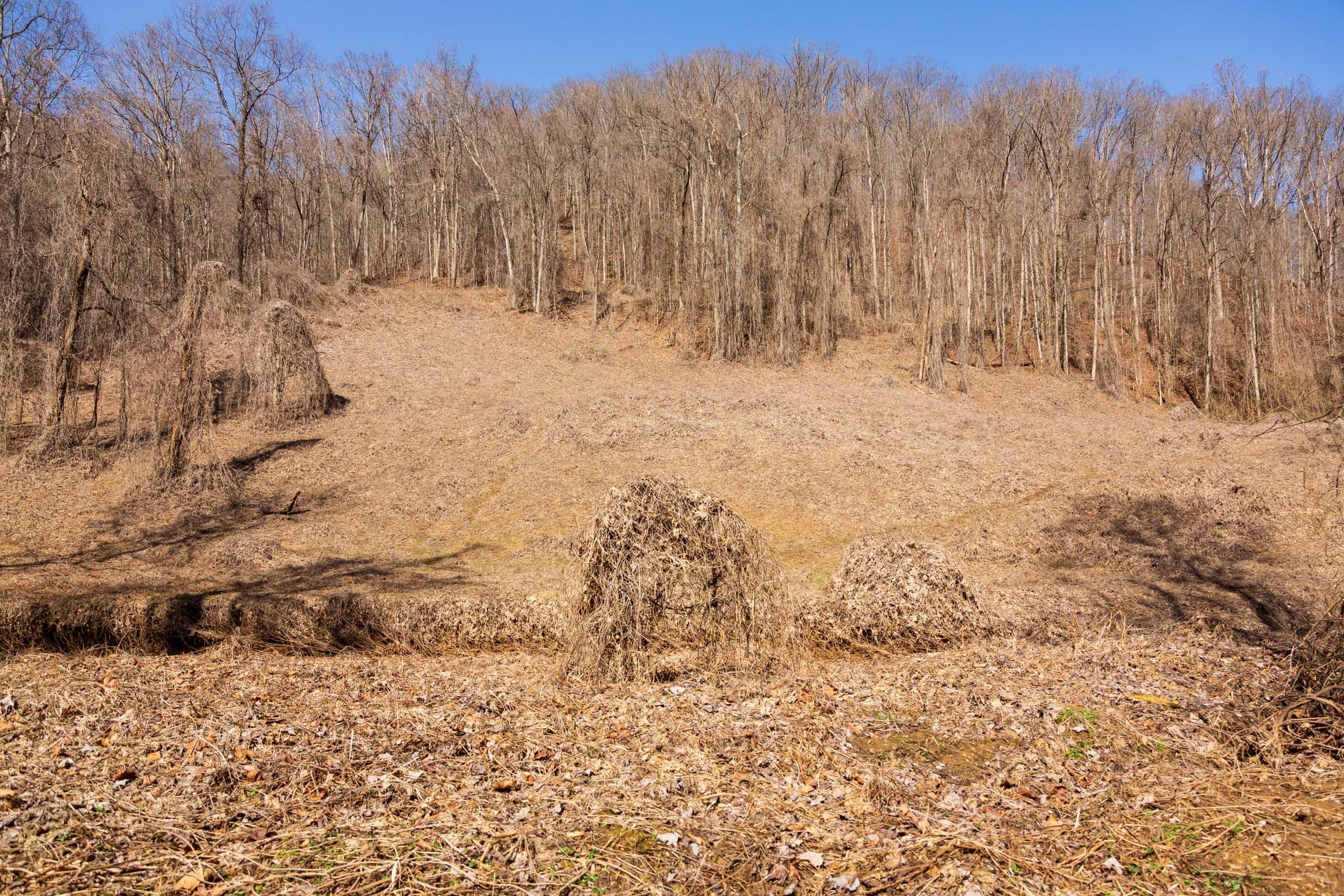 Blackstone Mountain Phase II Tract 68 photo 6