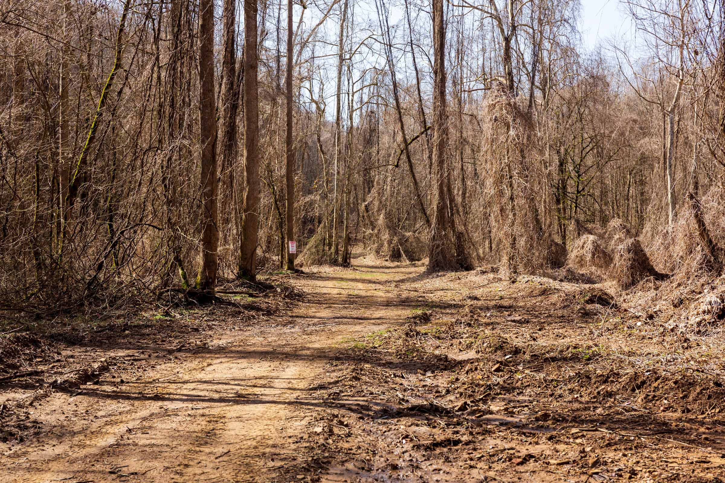 Blackstone Mountain Phase II Tract 68 photo 1