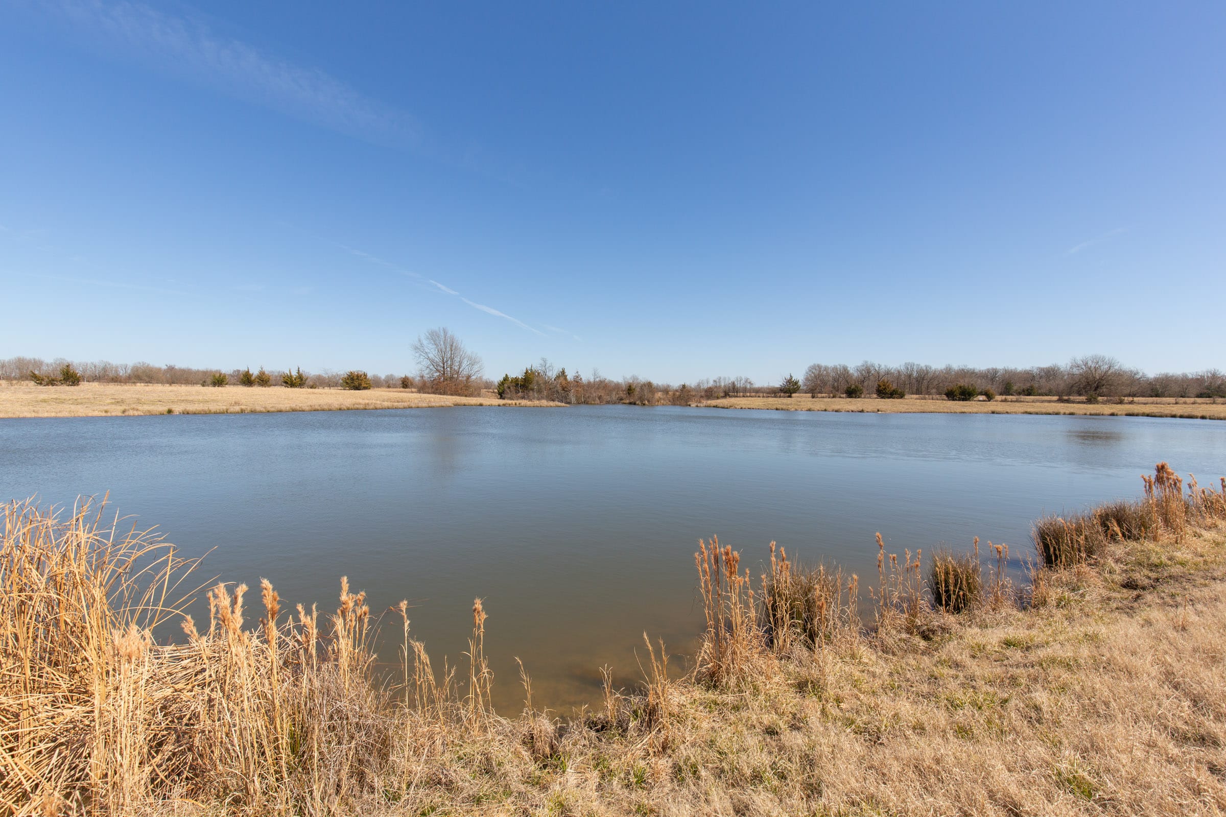 Wishing Star Ranch Tract 28 photo 3
