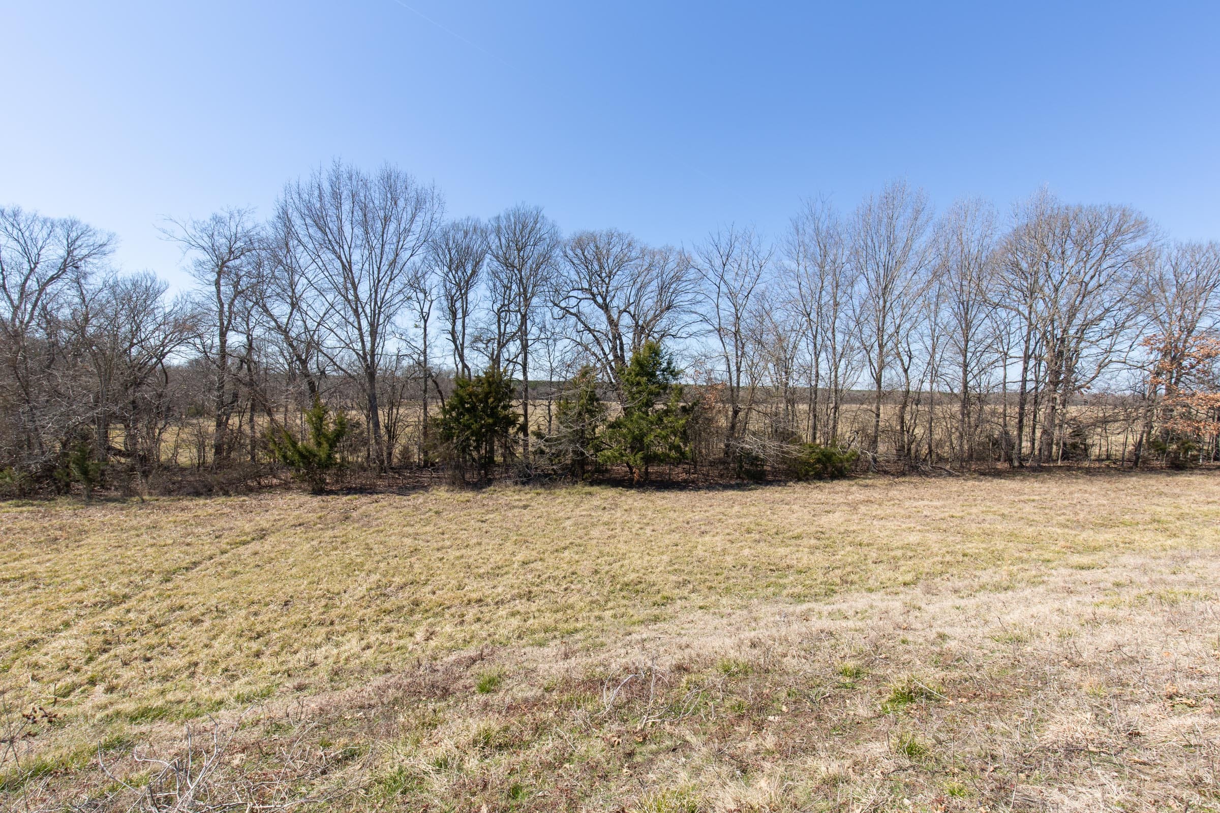 Wishing Star Ranch Tract 28 photo 4