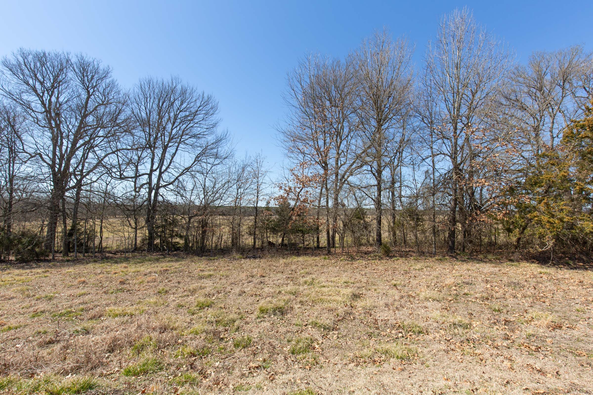 Wishing Star Ranch Tract 28 photo 7