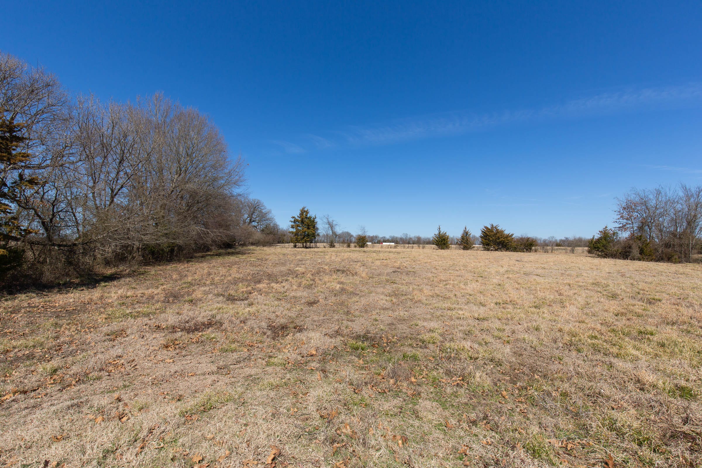 Wishing Star Ranch Tract 28 photo 8