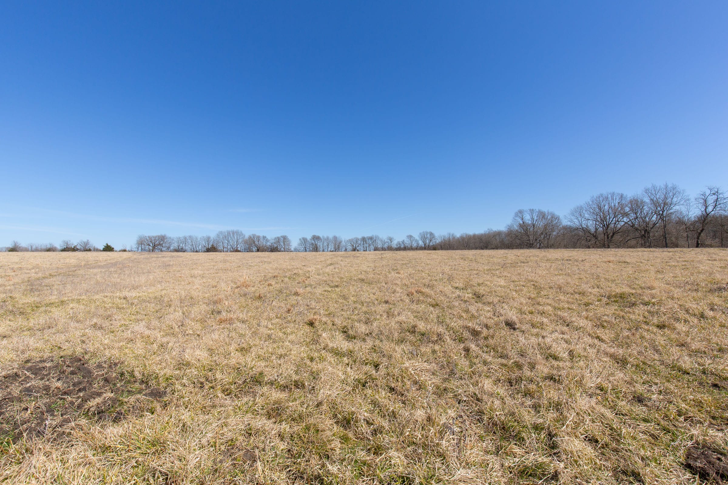 Wishing Star Ranch Tract 28 photo 12