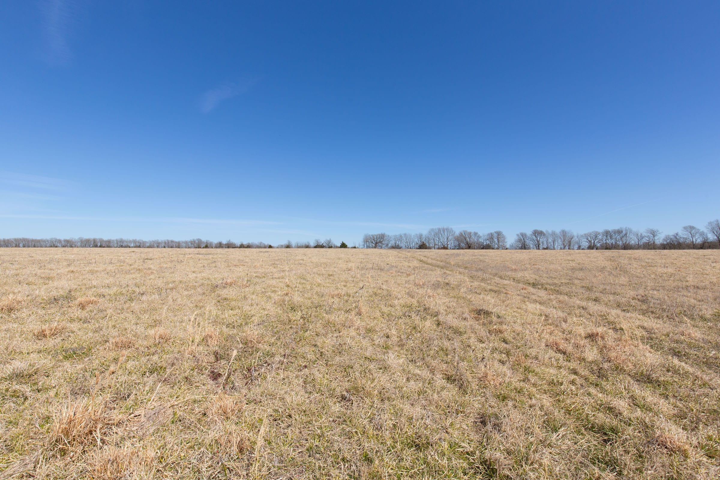 Wishing Star Ranch Tract 28 photo 15