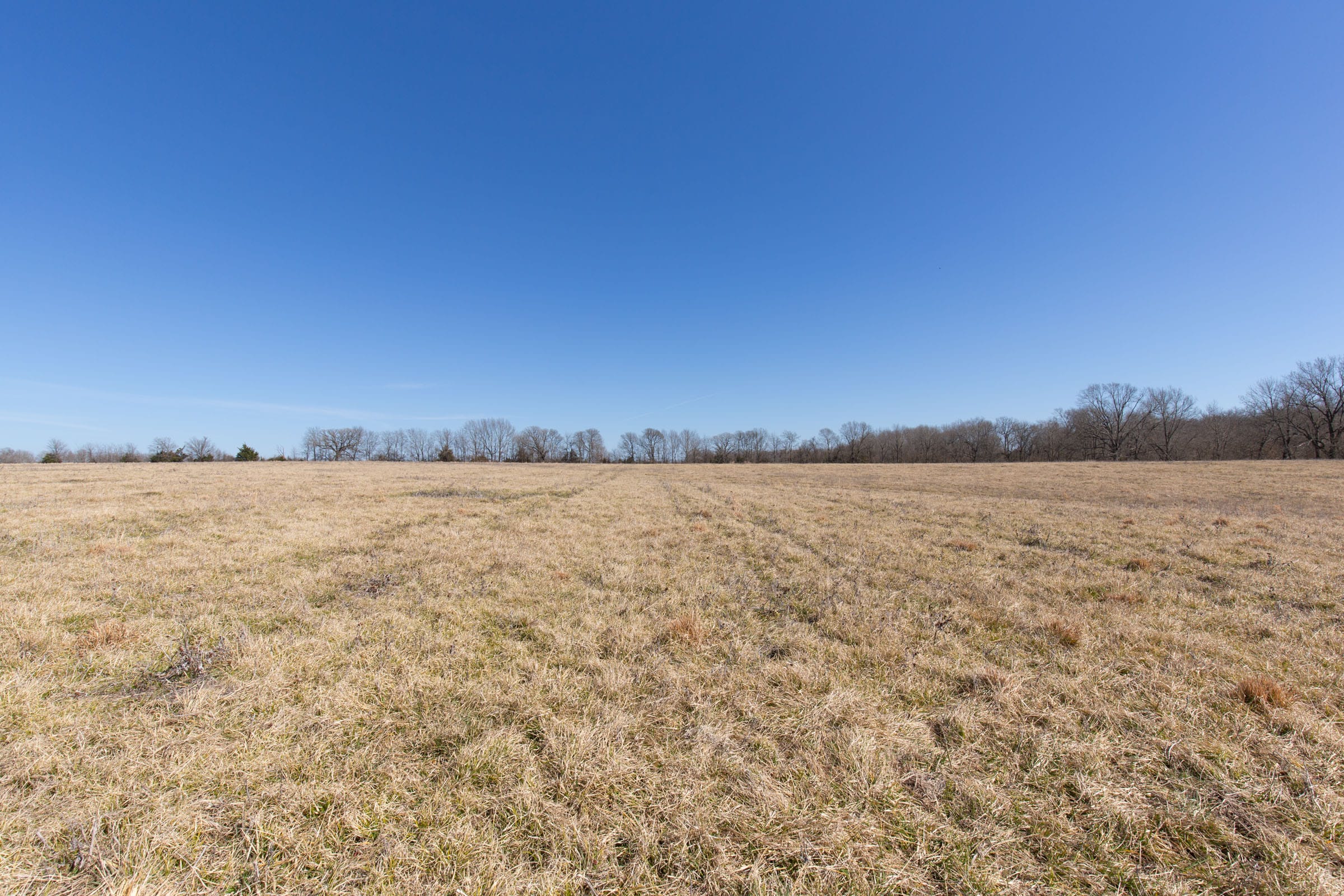 Wishing Star Ranch Tract 28 photo 16