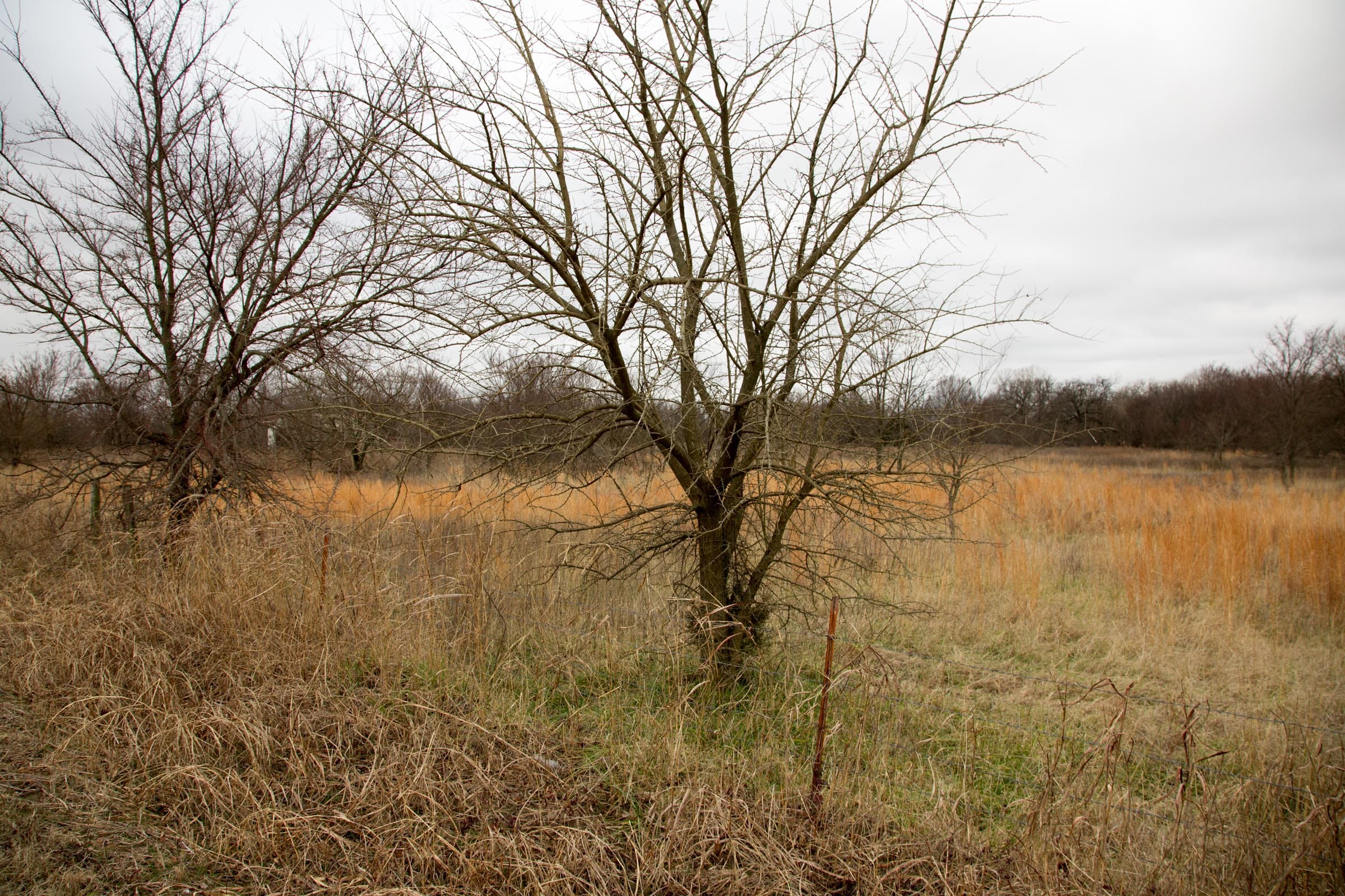 Canadian Plains Tract 3 photo 2