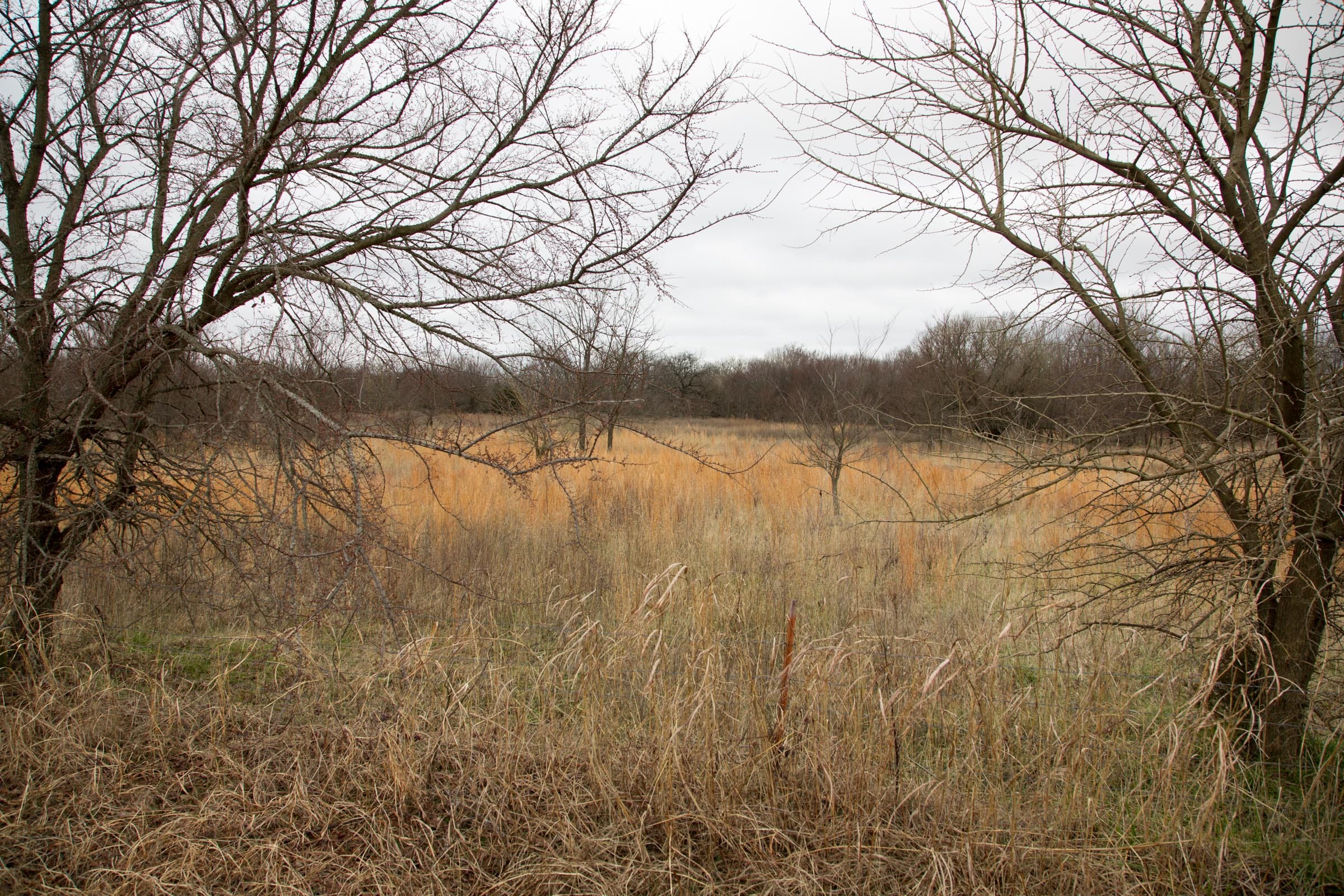 Canadian Plains Tract 3 photo 3