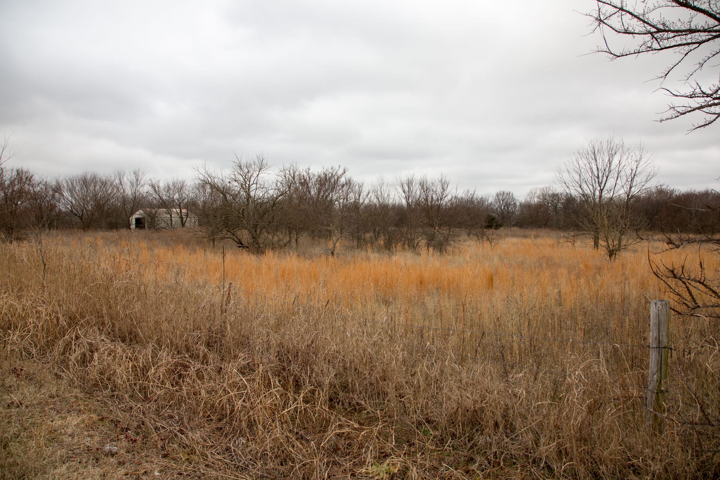 Canadian Plains Tract 3 photo 4
