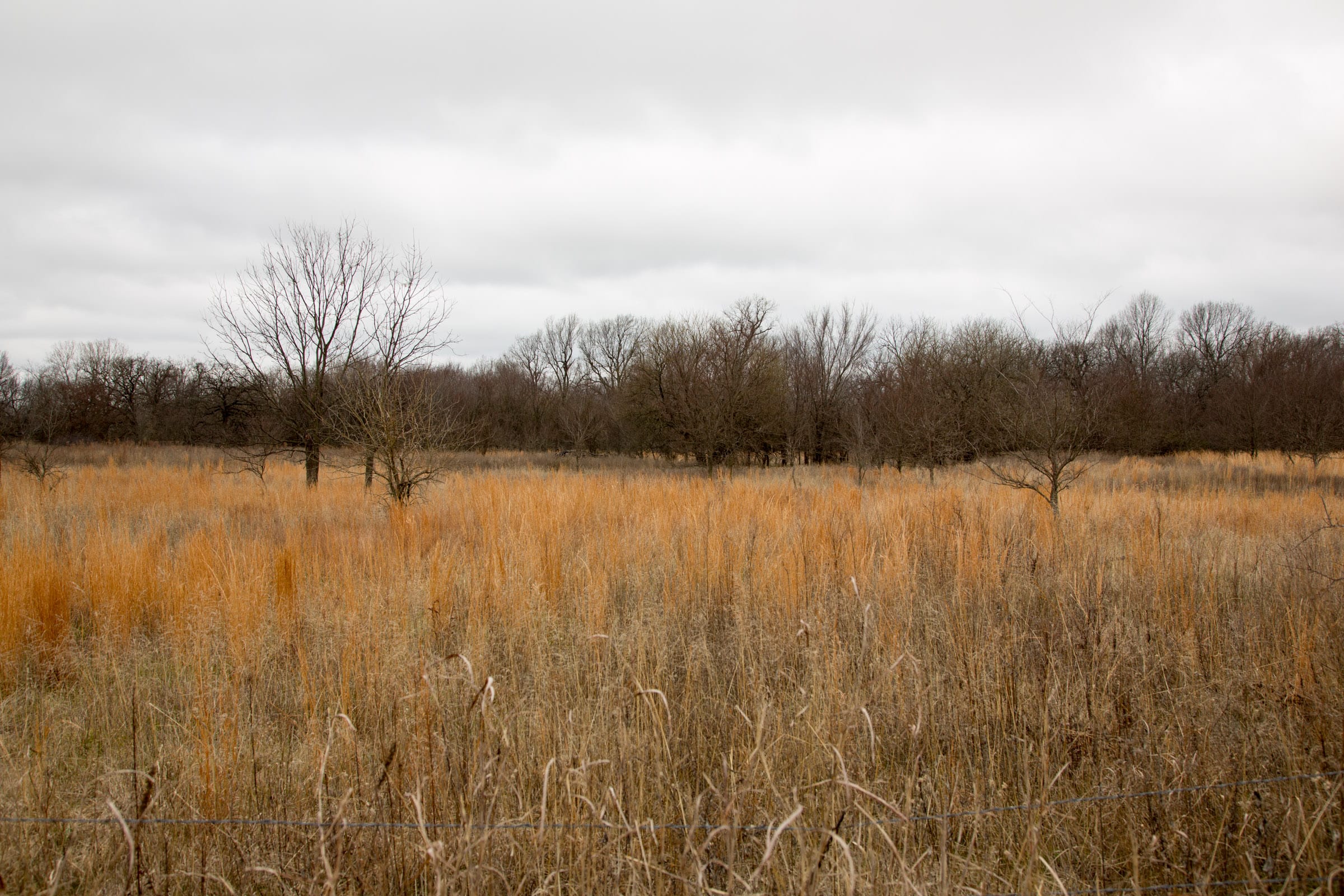 Canadian Plains Tract 3 photo 5