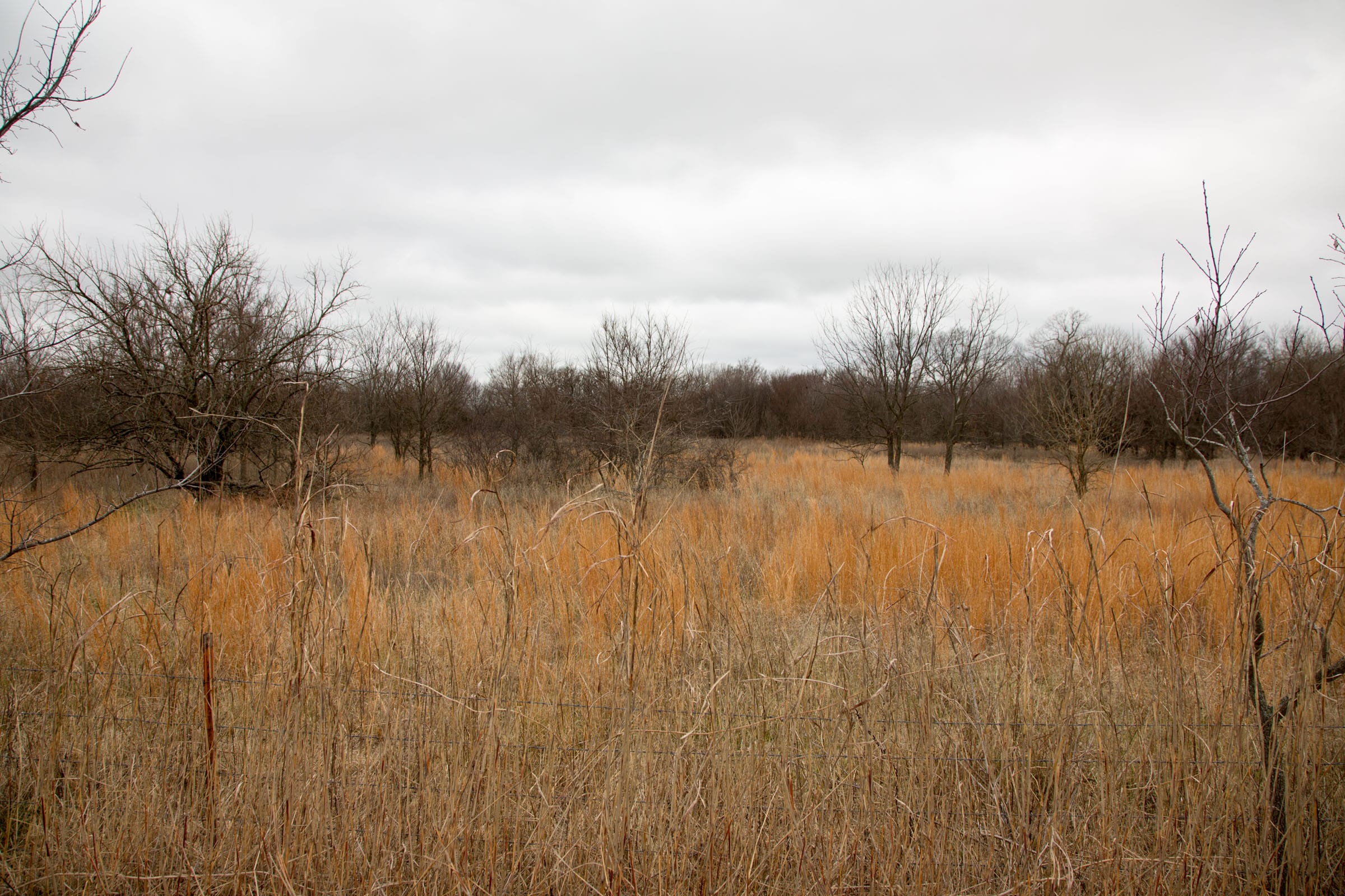 Canadian Plains Tract 3 photo 6