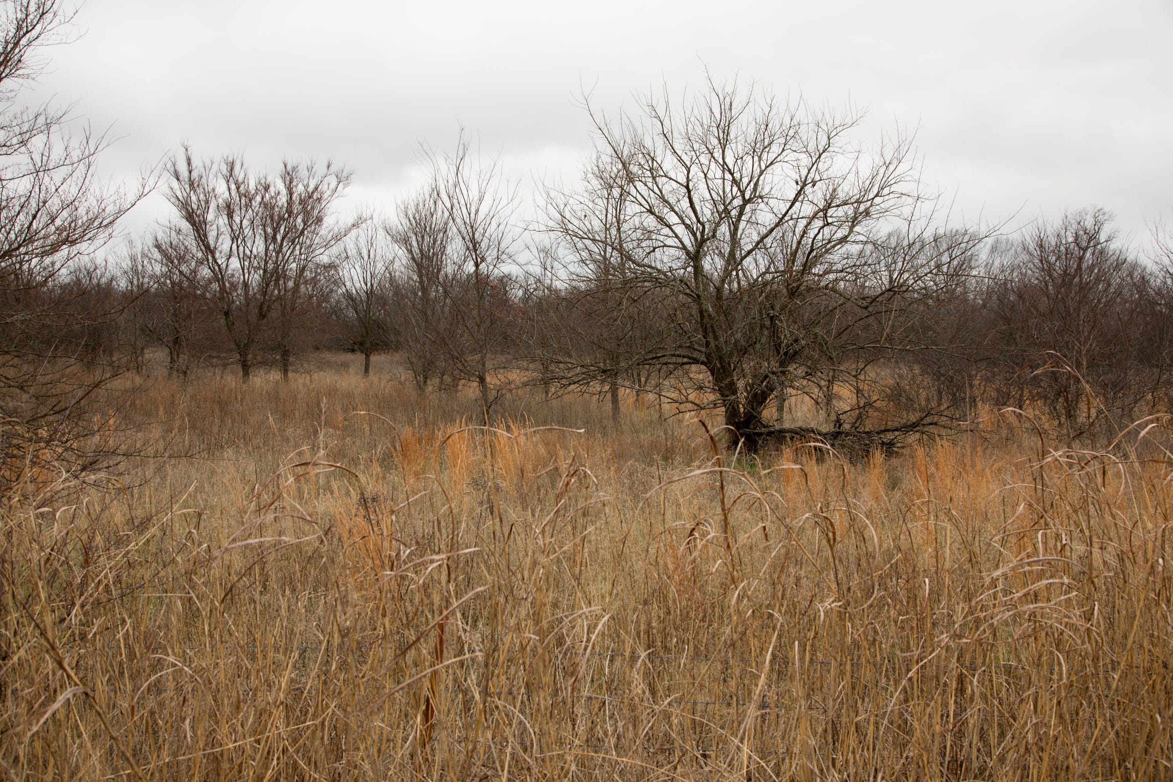 Canadian Plains Tract 3 photo 7
