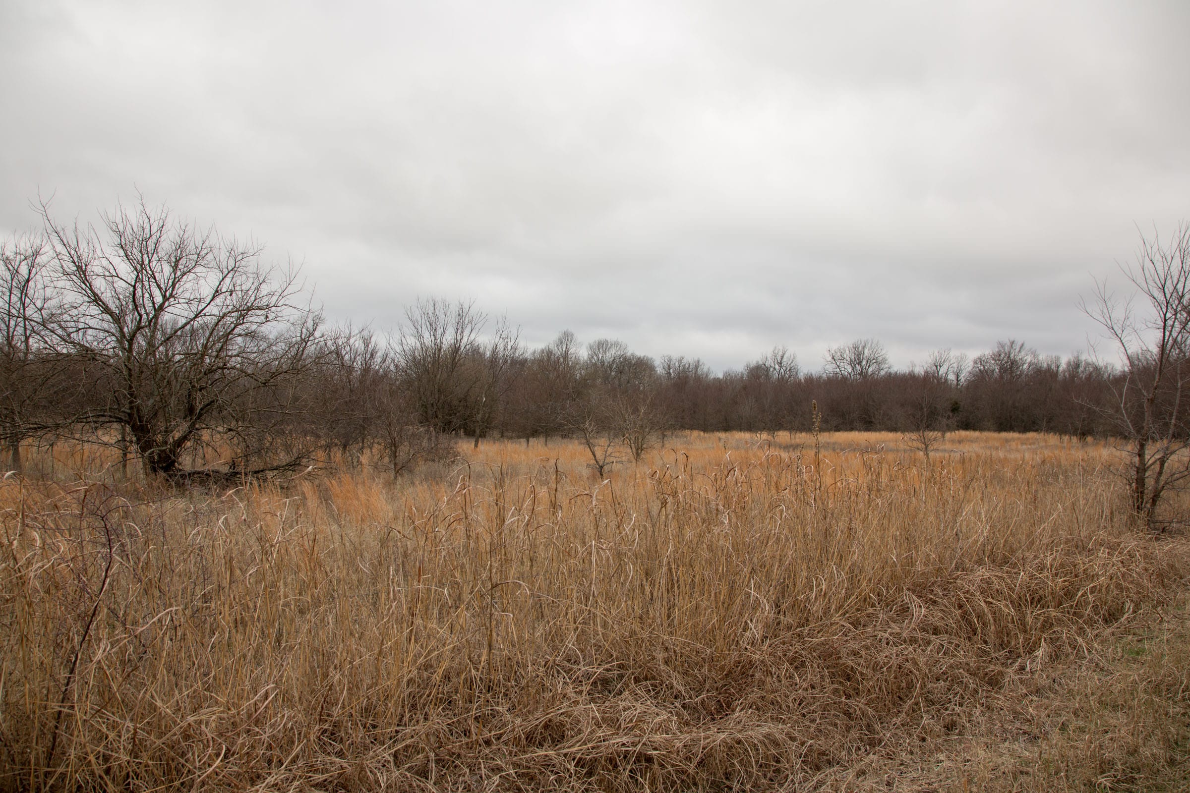 Canadian Plains Tract 3 photo 8