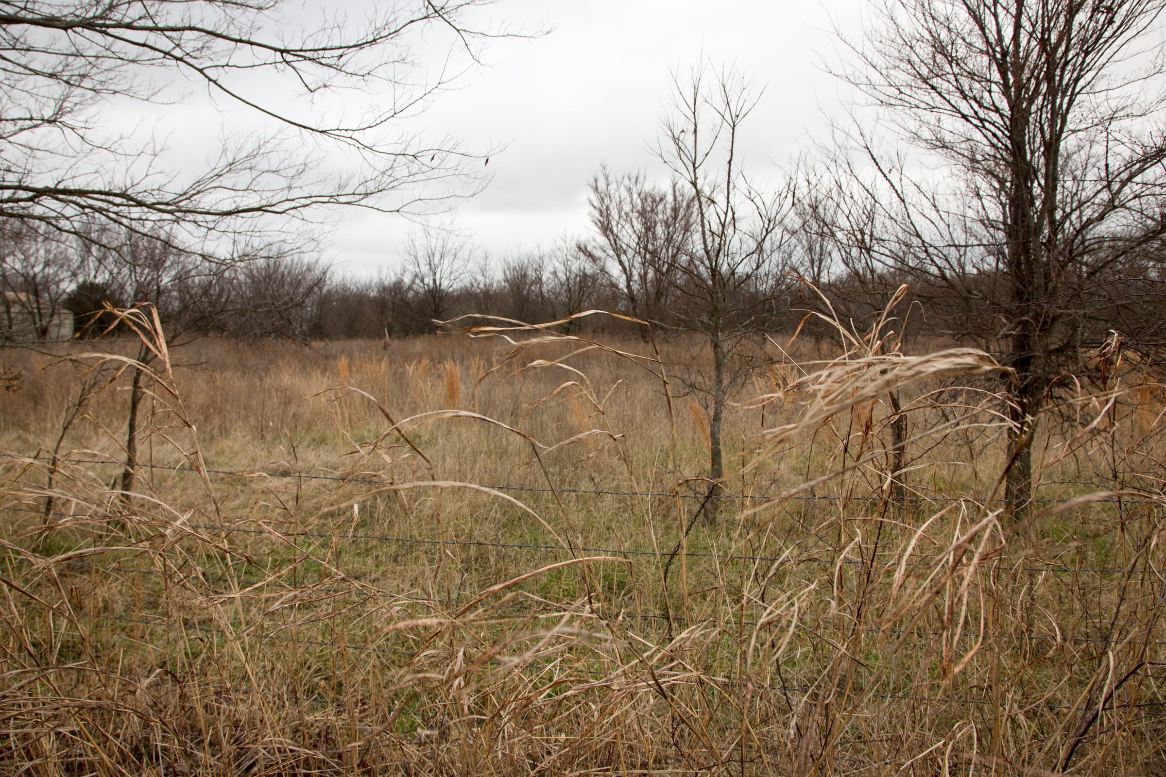 Canadian Plains Tract 3 photo 9