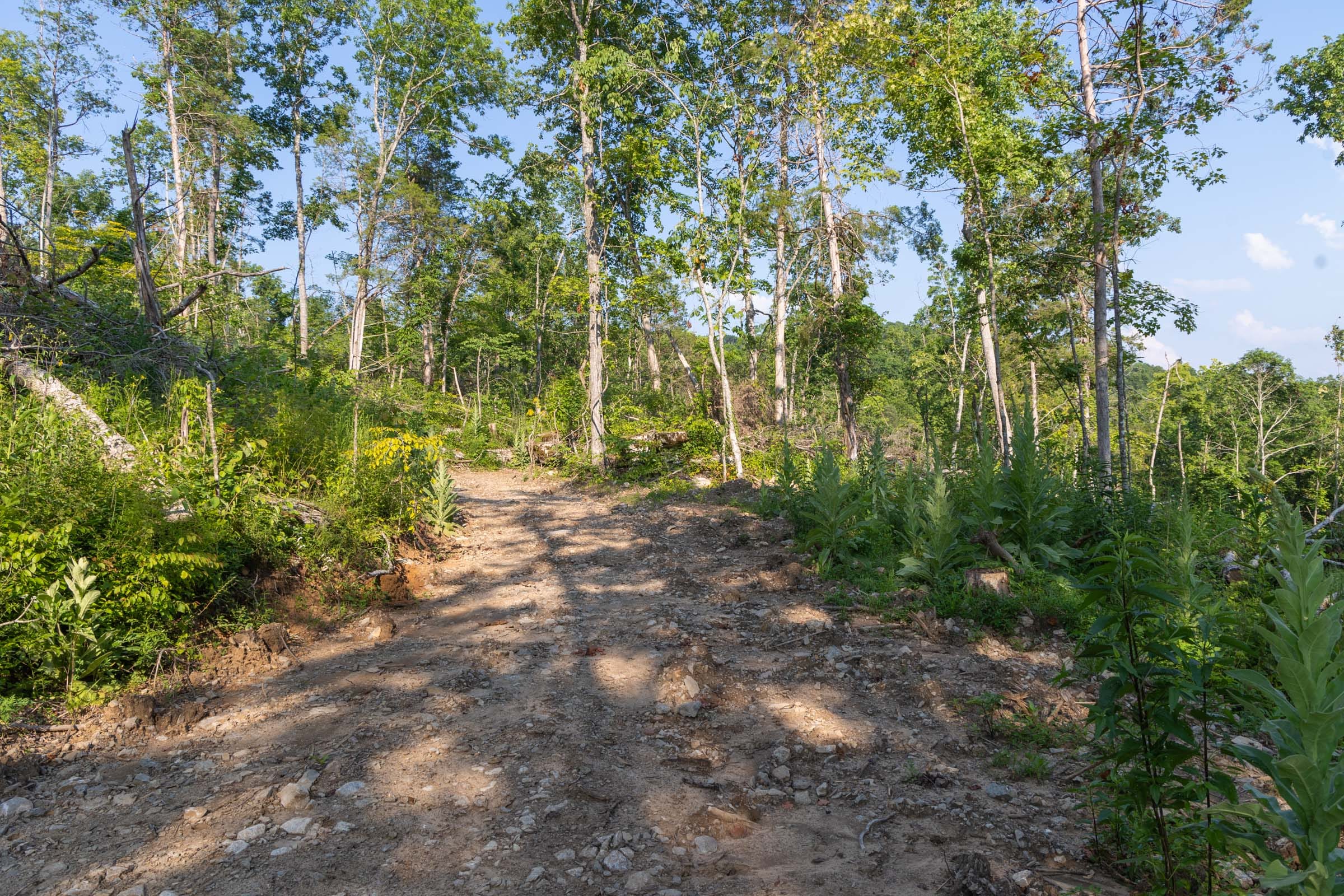 Creek Hollow Phase II Tract 85 photo 2