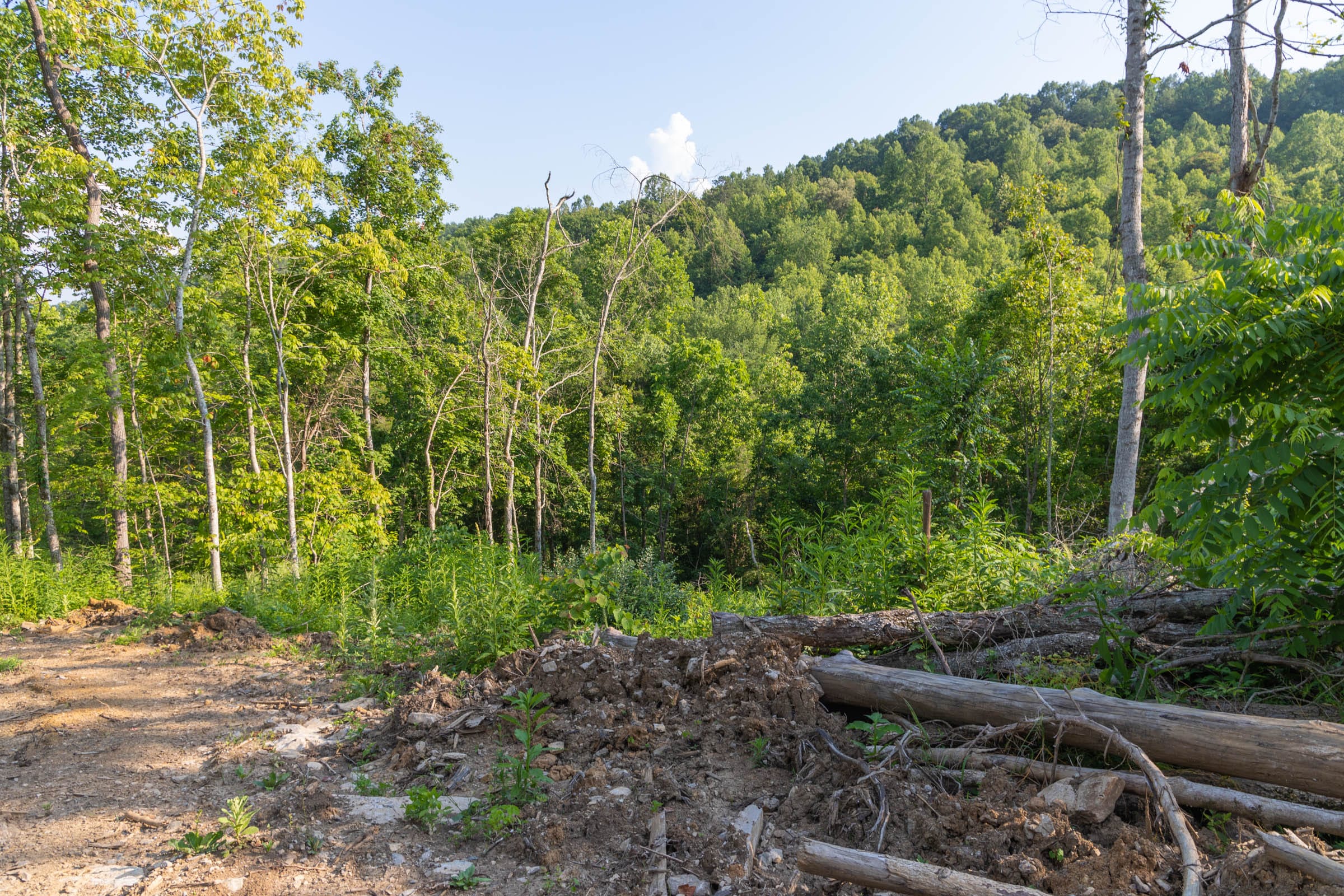 Creek Hollow Phase II Tract 85 photo 5