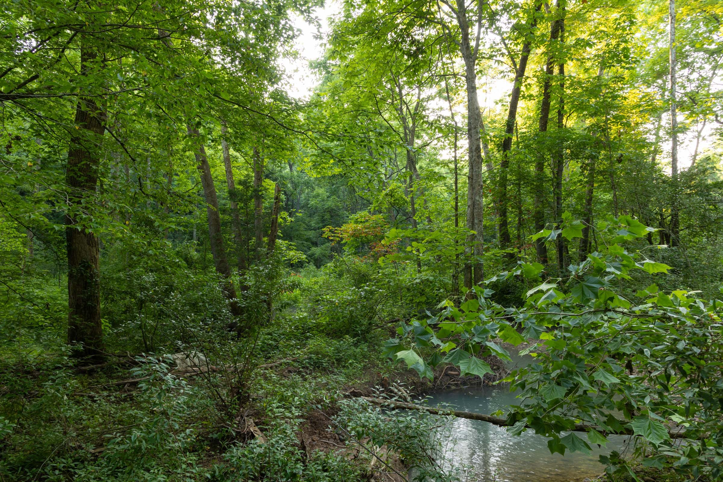 Creek Hollow Phase II Tract 85 photo 3