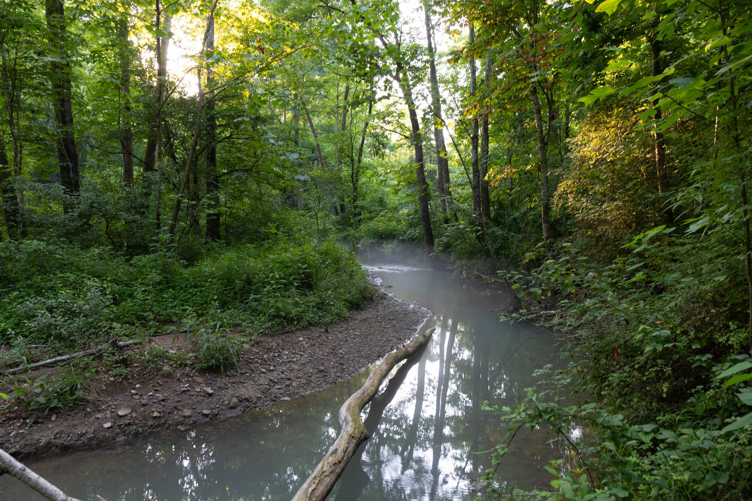 Creek Hollow Phase II Tract 85 photo 1