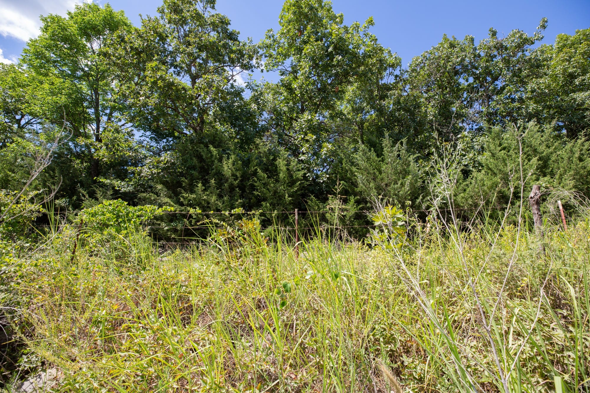 Paradise Valley Tract 19 photo 2