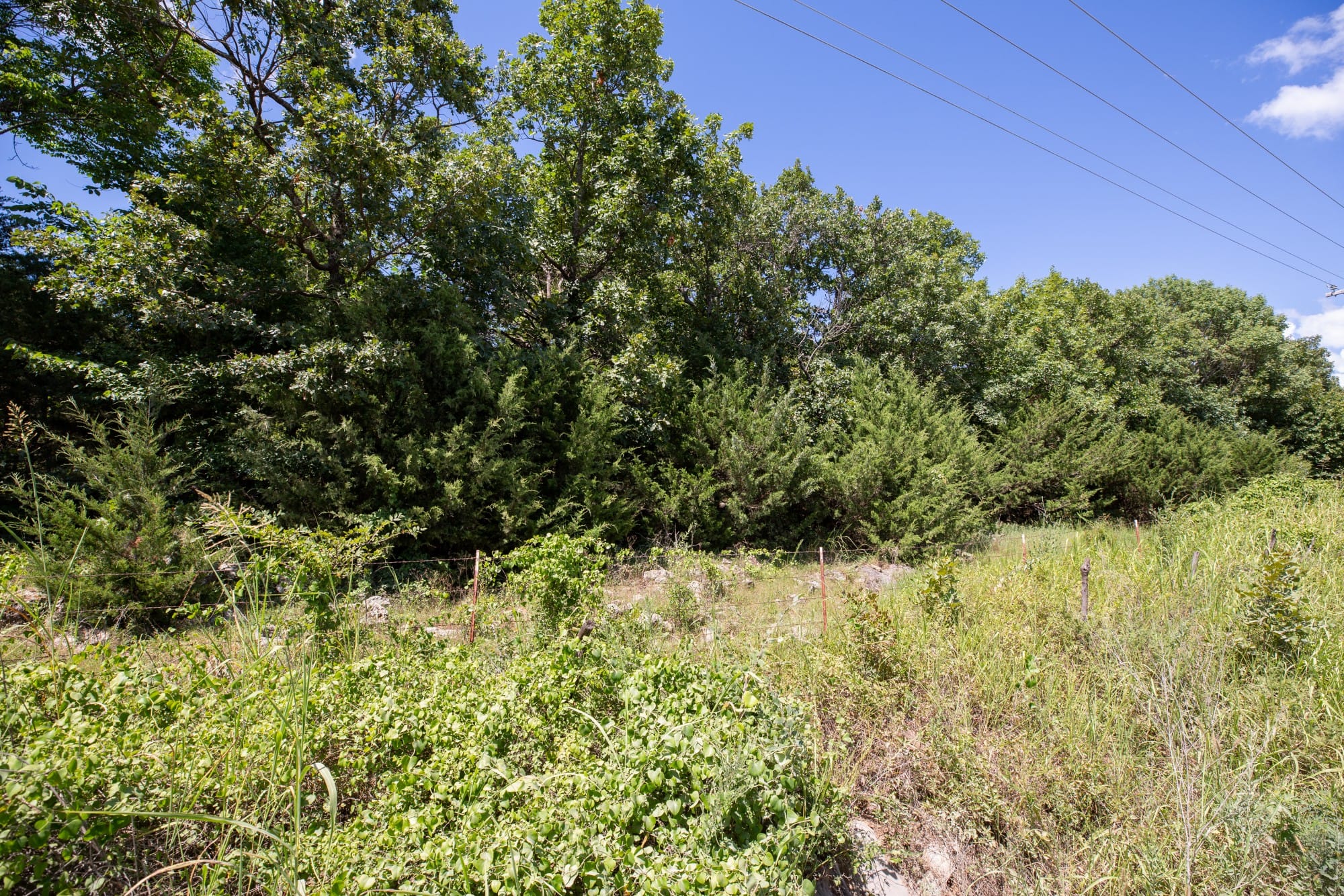 Paradise Valley Tract 19 photo 4