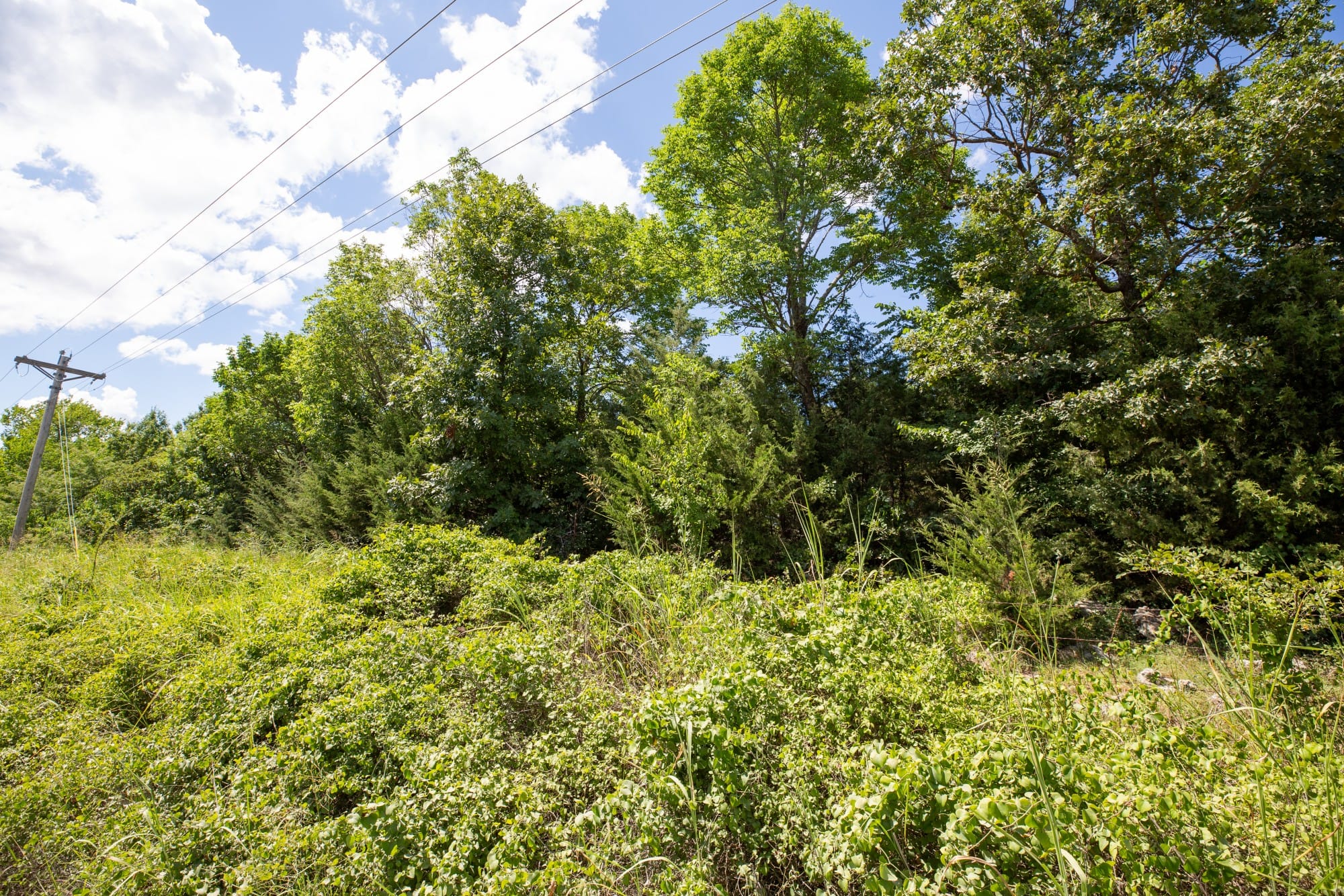Paradise Valley Tract 19 photo 6