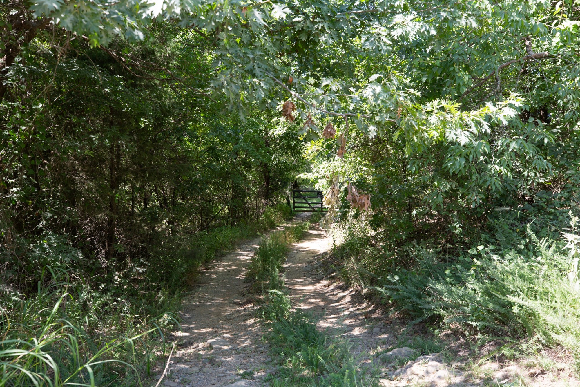 Paradise Valley Tract 19 photo 3
