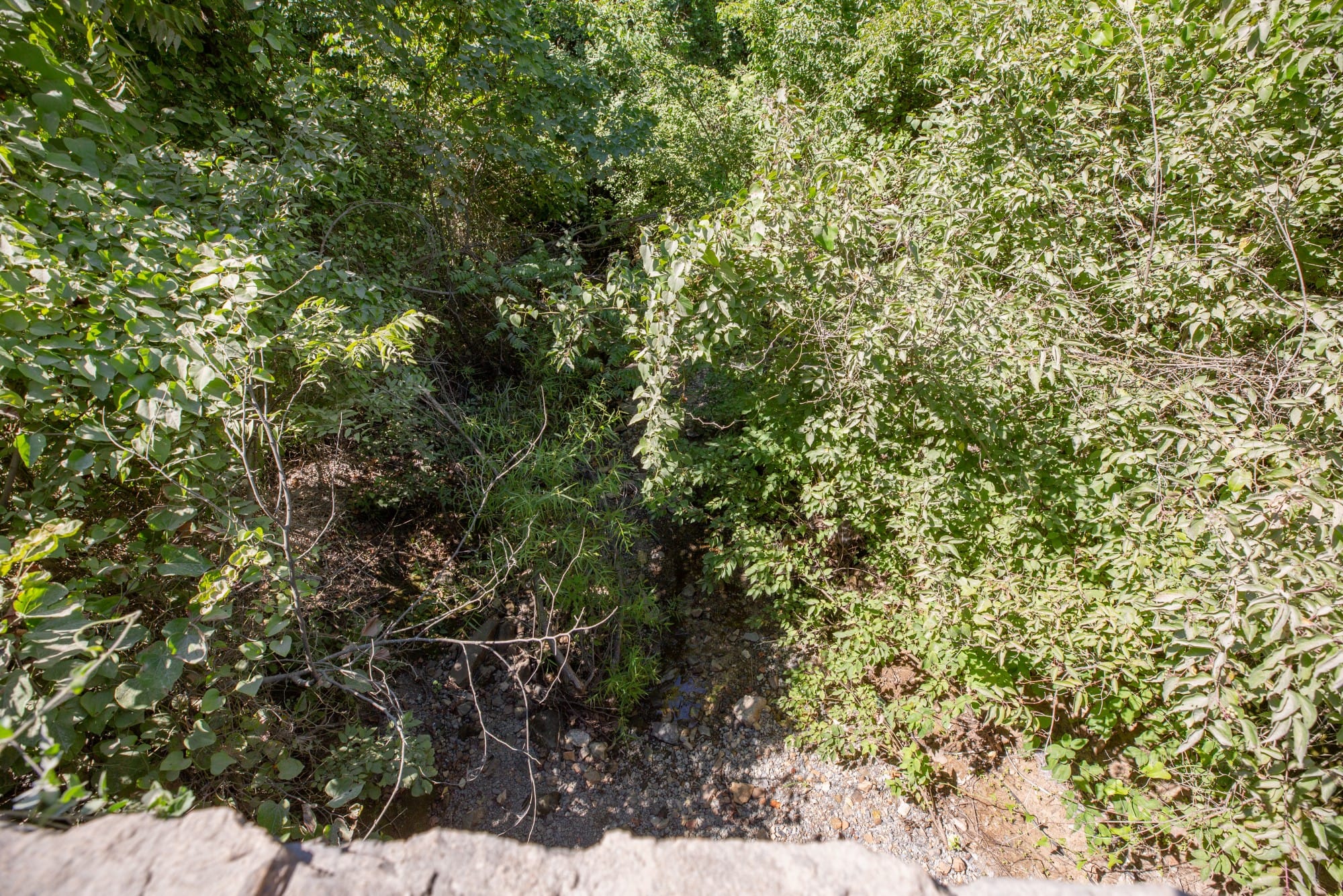Paradise Valley Tract 19 photo 8