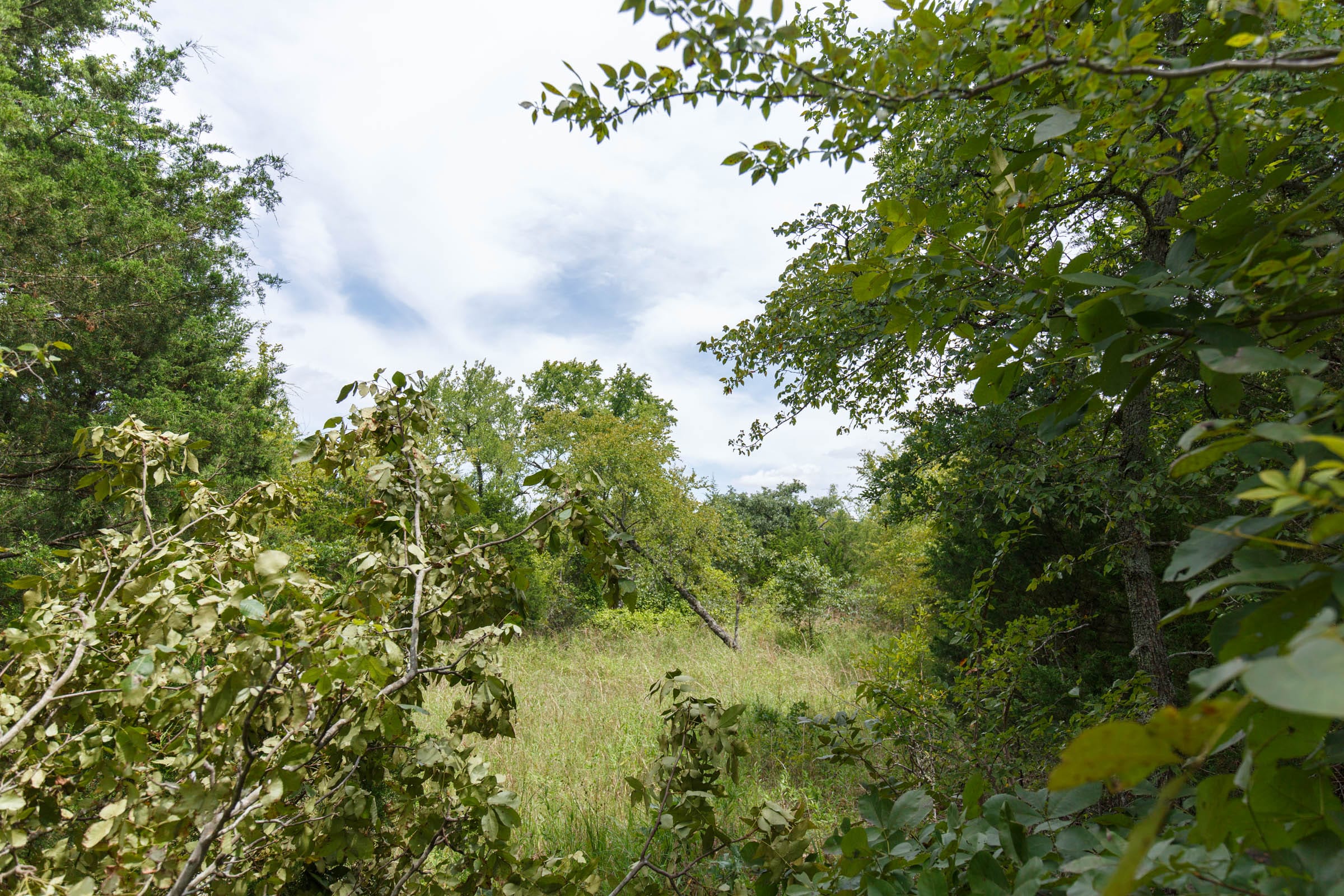 Timber Ridge Tract 31 photo 1