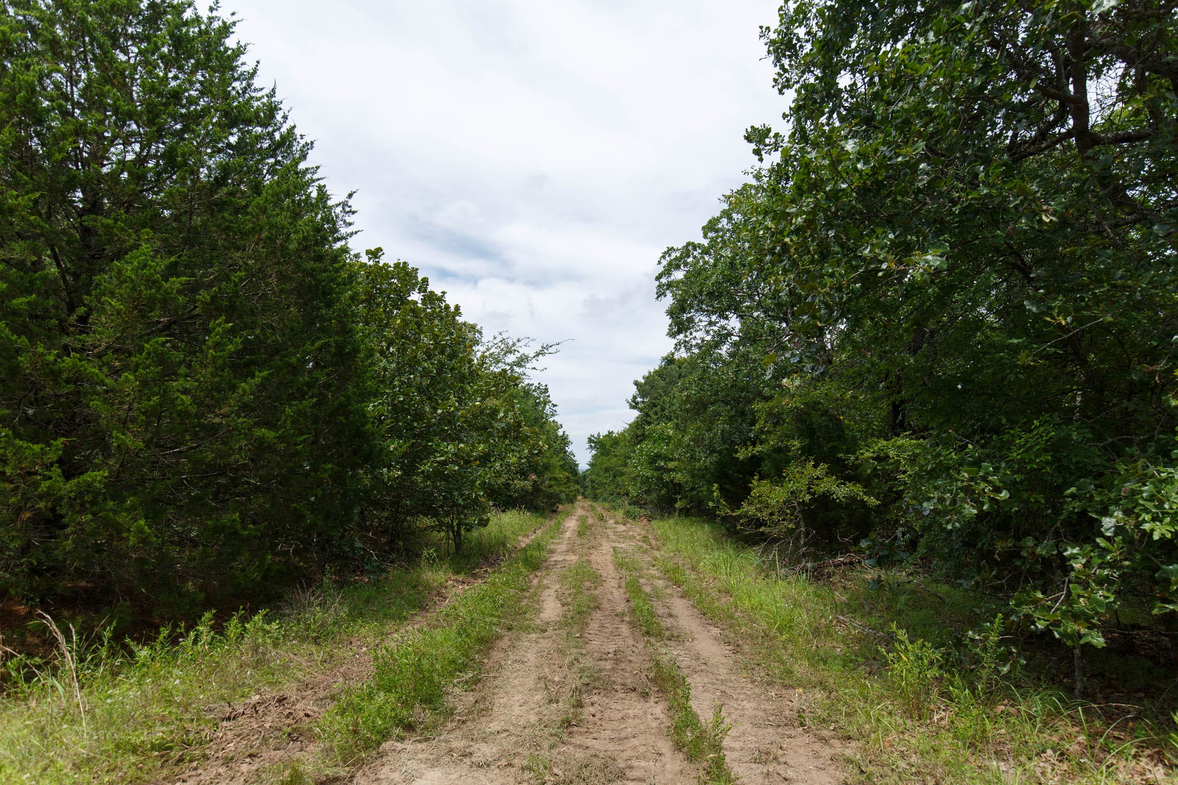 Timber Ridge Tract 31 photo 2