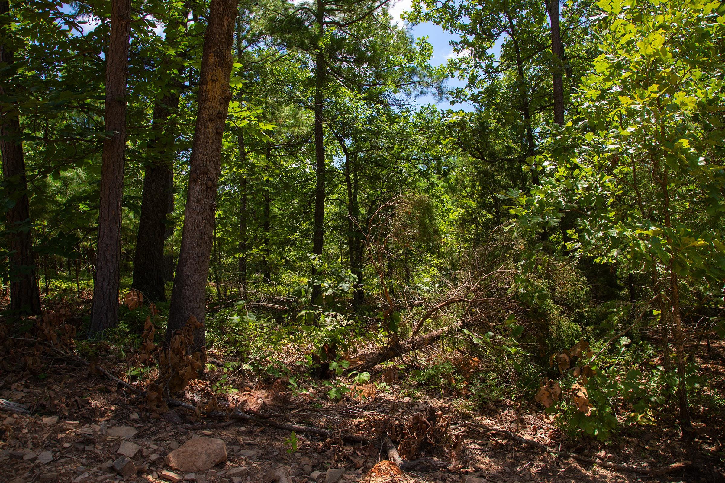 Tyler Stone Ranch Tract 78 photo 3