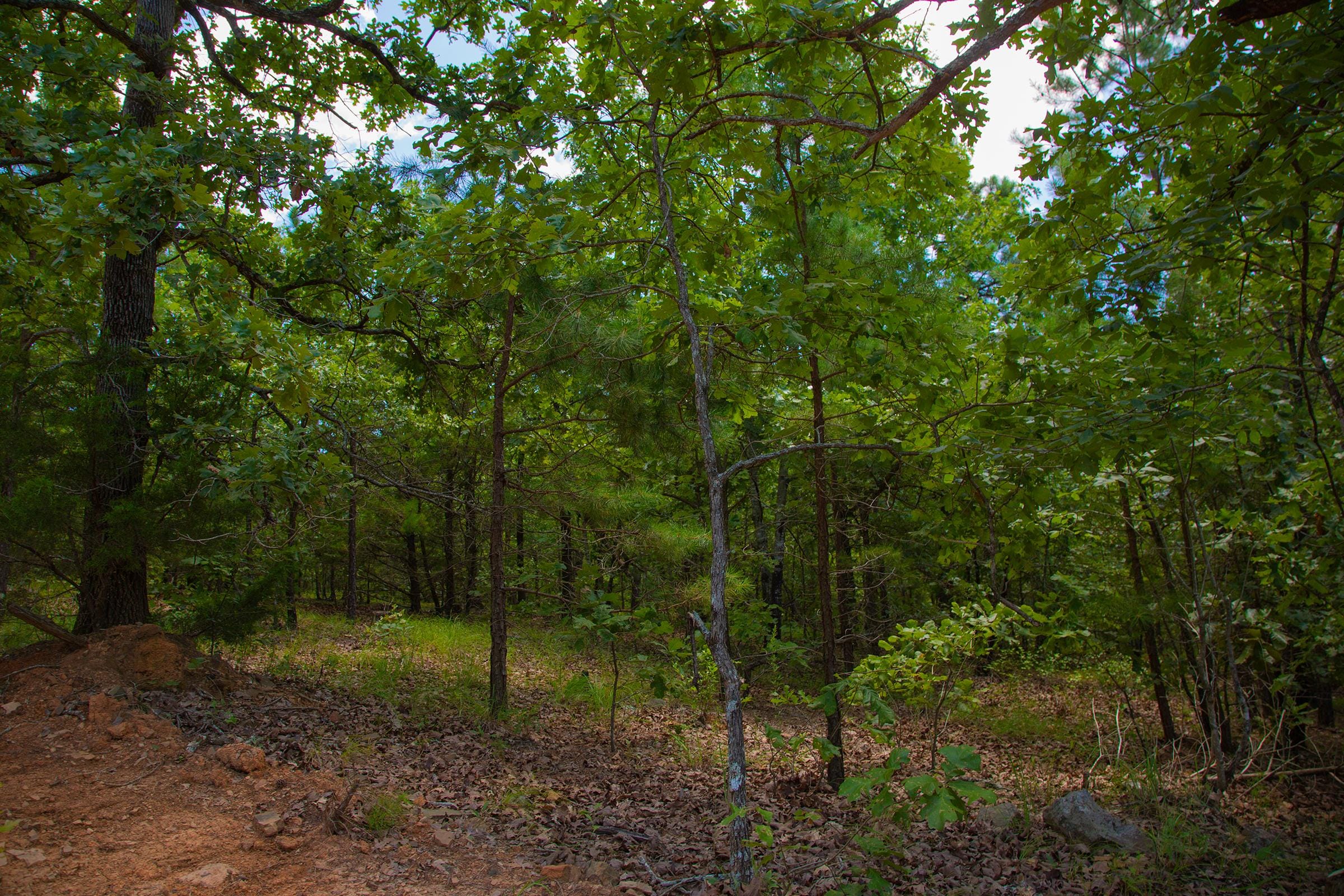 Tyler Stone Ranch Tract 78 photo 5
