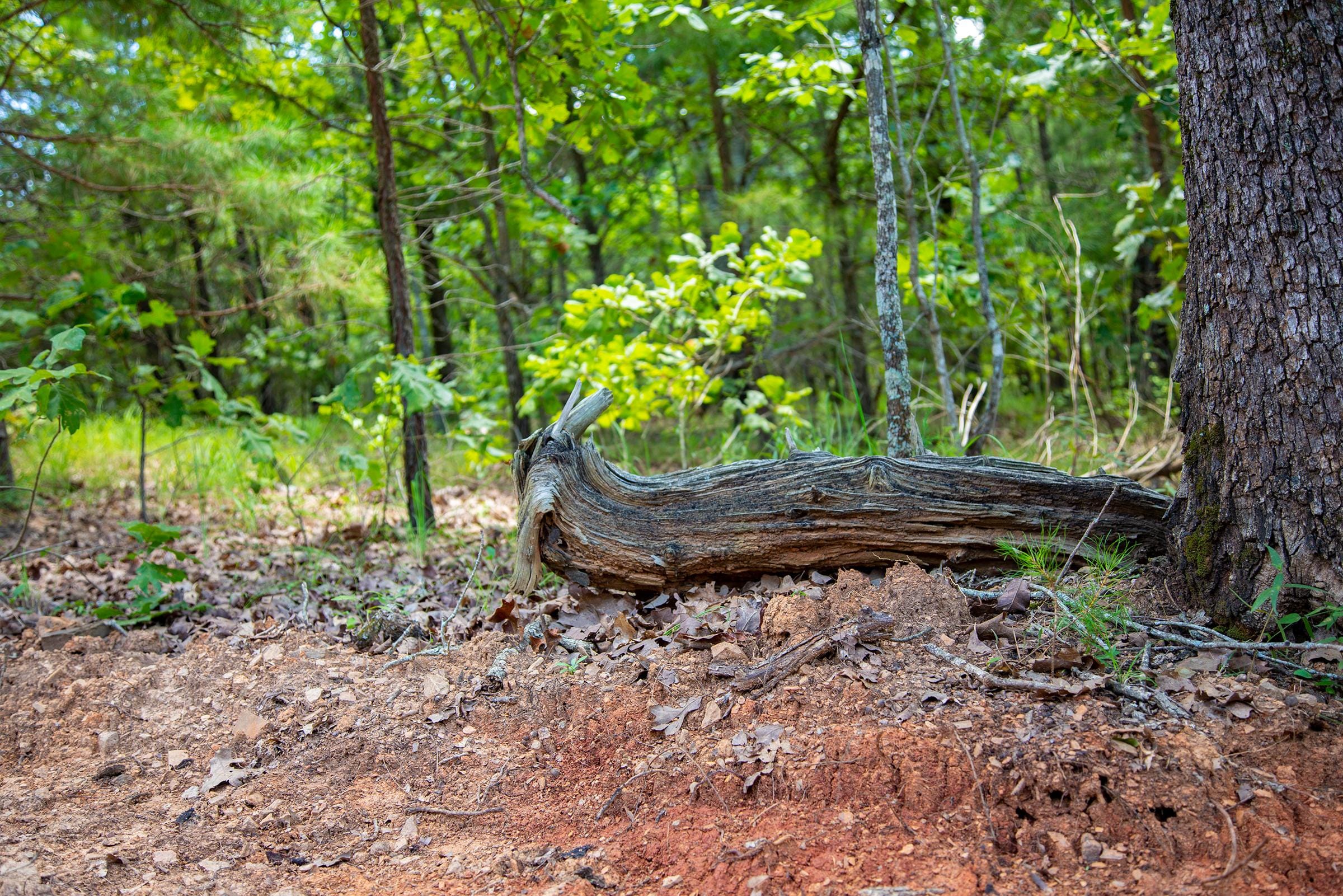 Tyler Stone Ranch Tract 78 photo 6