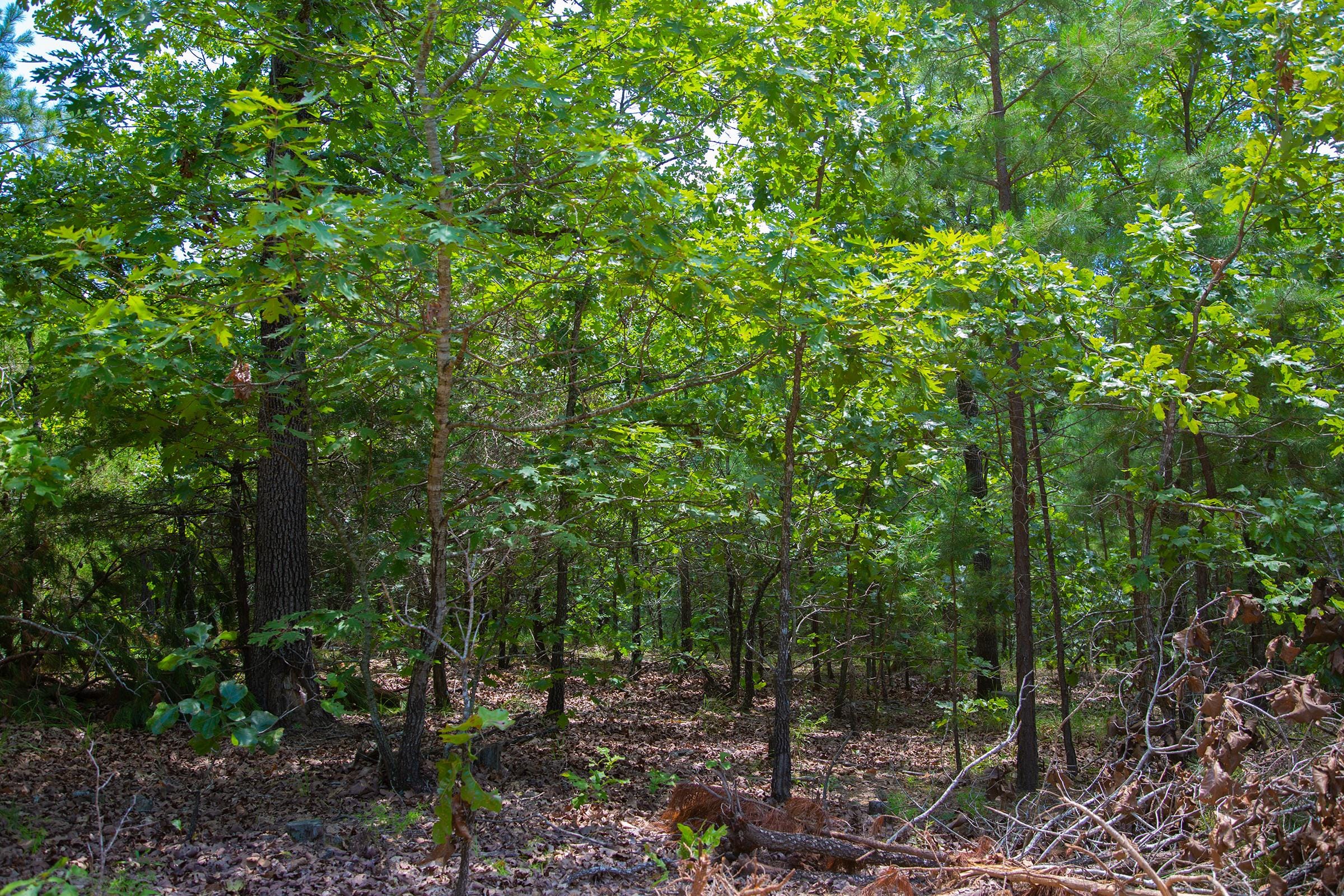 Tyler Stone Ranch Tract 78 photo 7