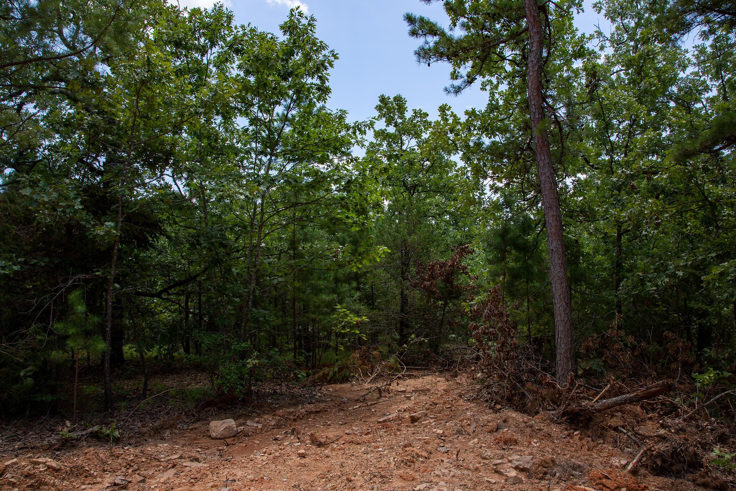 Tyler Stone Ranch Tract 78 photo 8