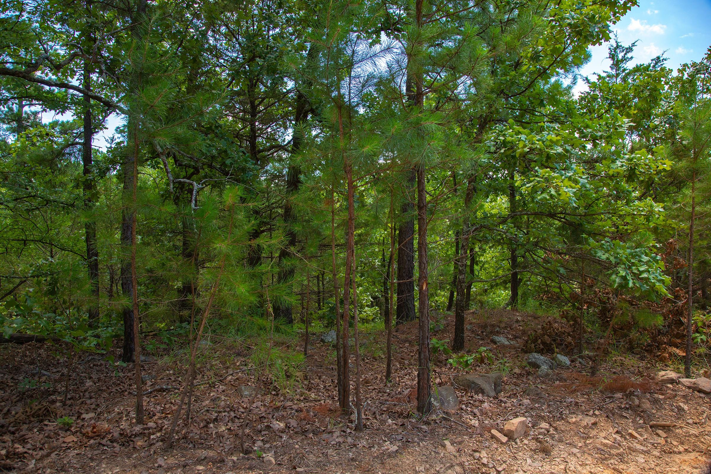 Tyler Stone Ranch Tract 78 photo 9