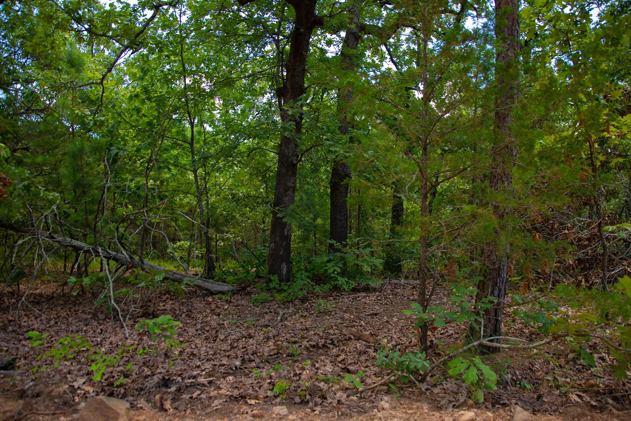 Tyler Stone Ranch Tract 78 photo 10