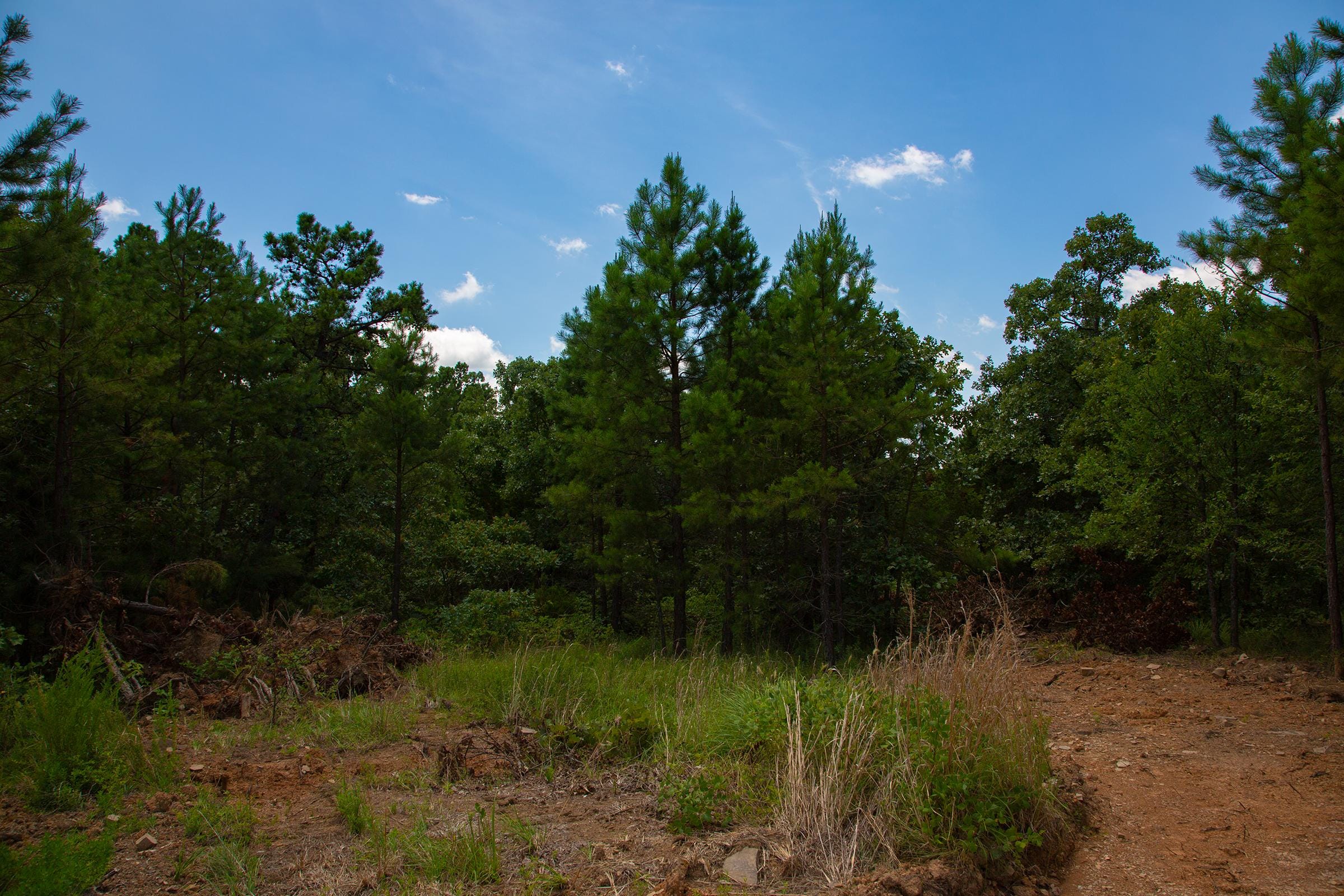 Tyler Stone Ranch Tract 78 photo 12
