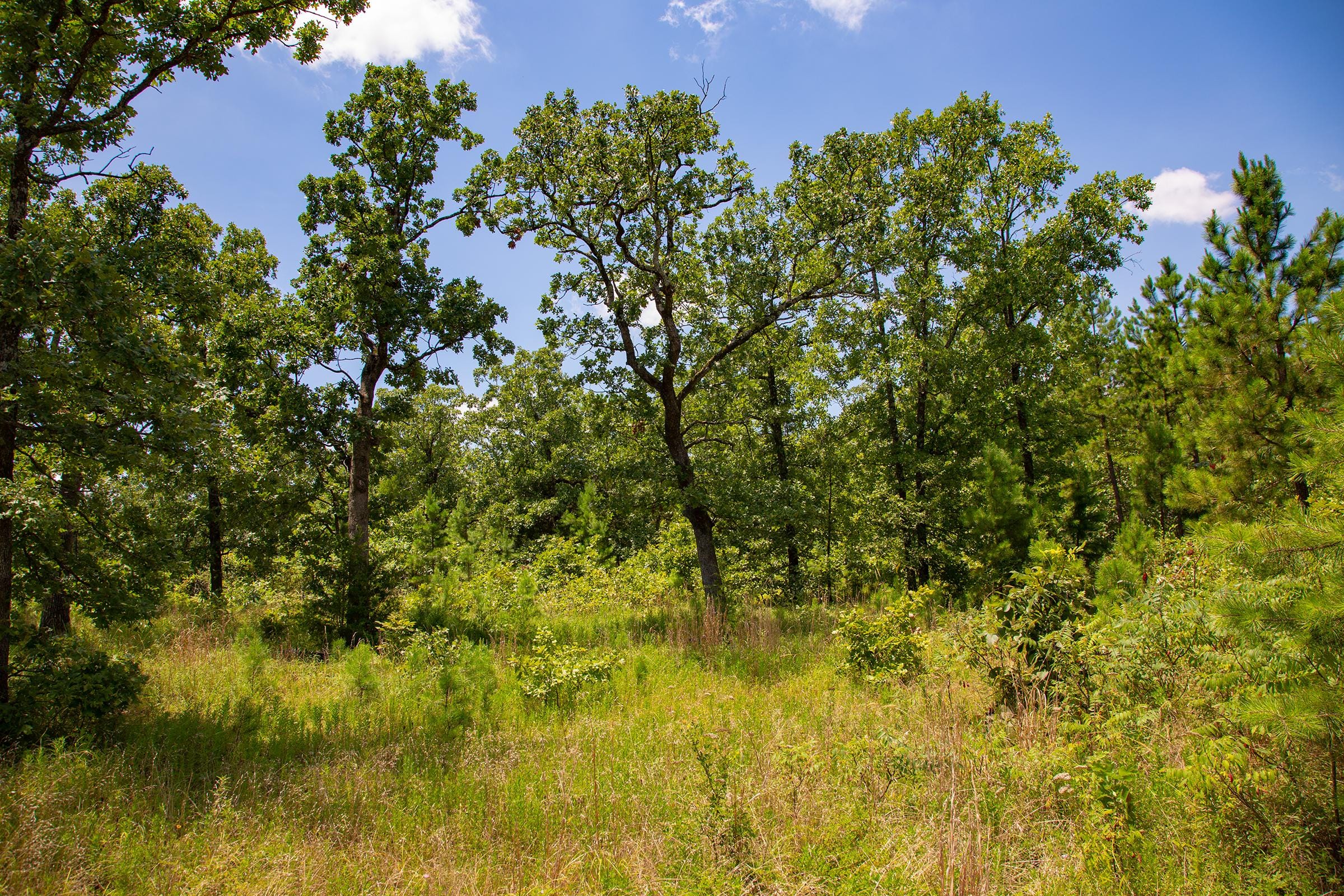 Tyler Stone Ranch Tract 78 photo 14