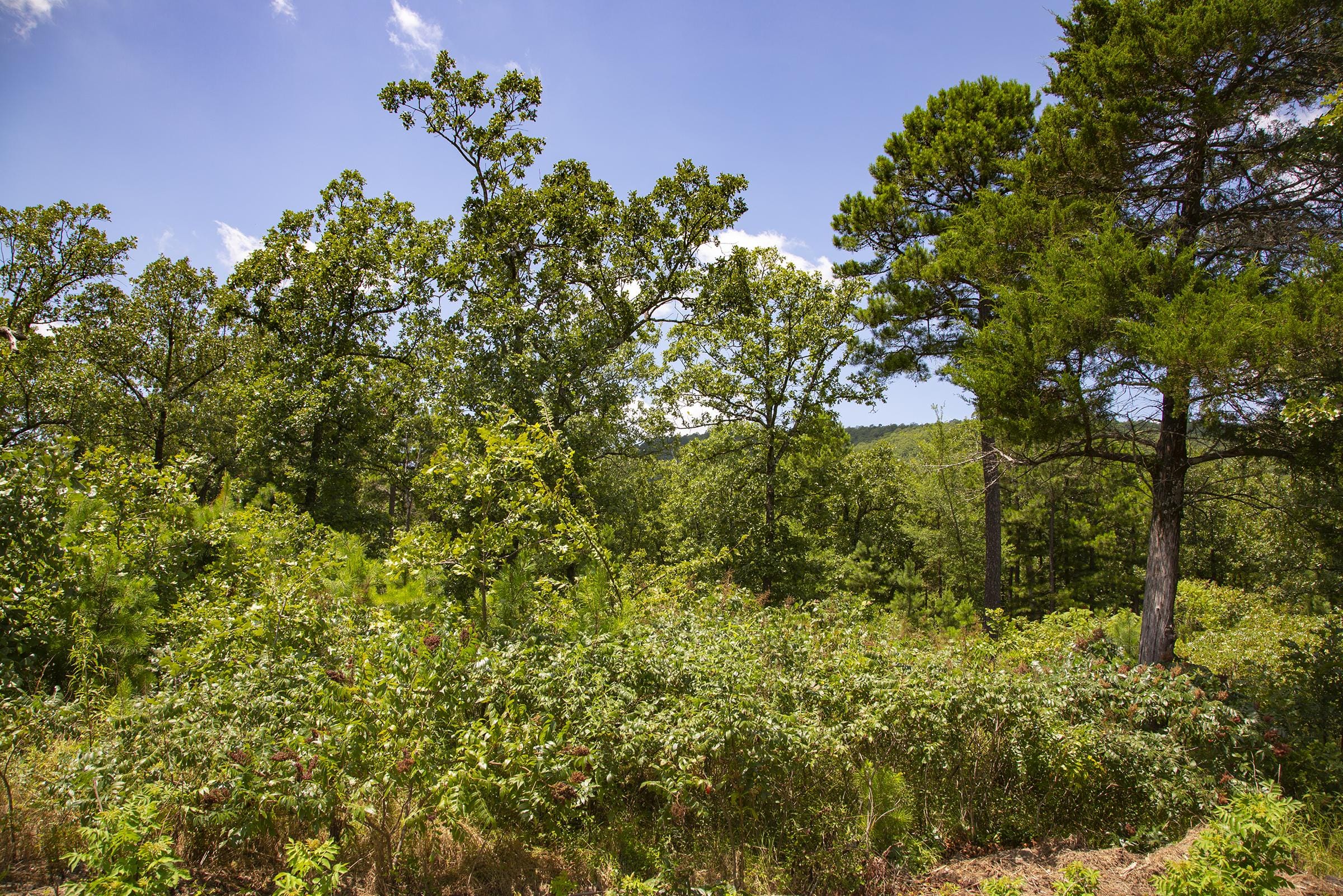 Tyler Stone Ranch Tract 78 photo 18